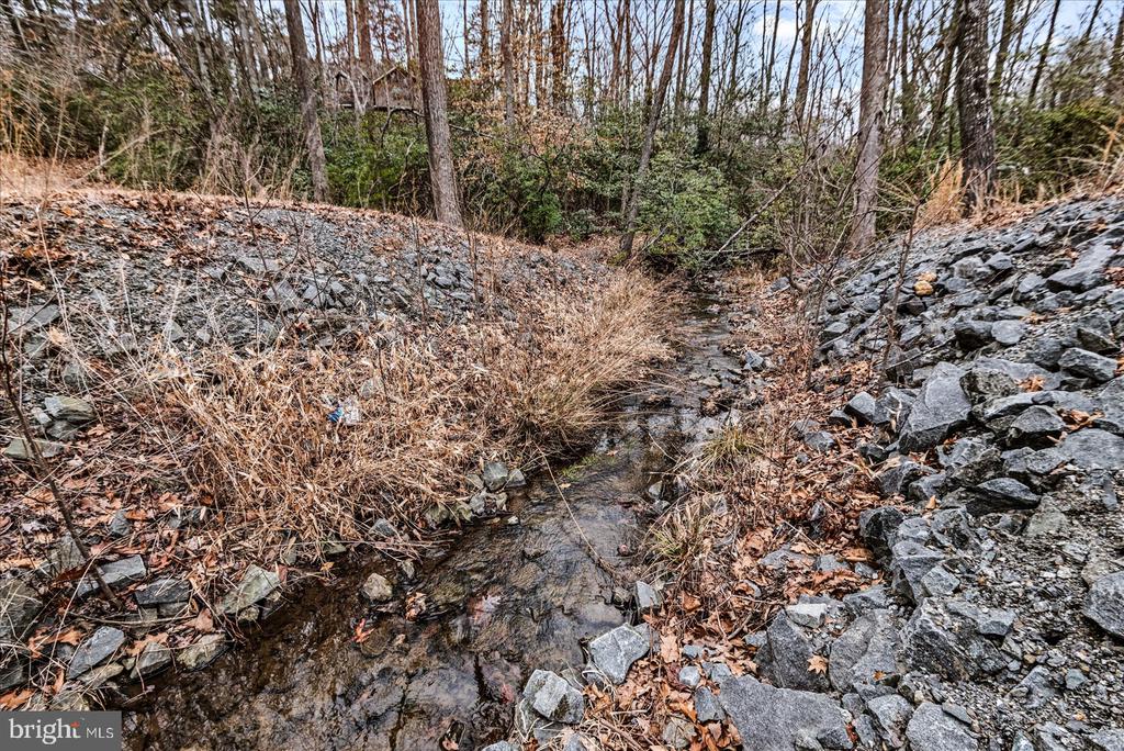 0 PINE HARBOUR DR, MINERAL, Virginia 23117, ,Land,0 PINE HARBOUR DR,VALA2009292 MLS # VALA2009292 0 PINE HARBOUR DR, MINERAL, Virginia 23117, ,Land,0 PINE HARBOUR DR,VALA2009292 MLS # VALA2009292