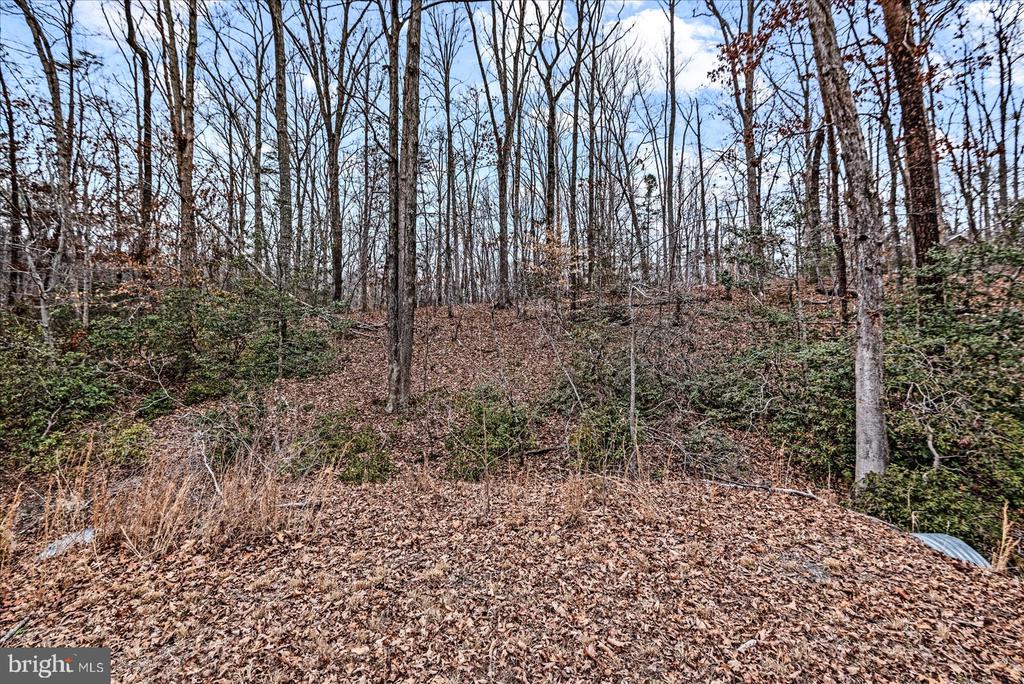 0 PINE HARBOUR DR, MINERAL, Virginia 23117, ,Land,0 PINE HARBOUR DR,VALA2009292 MLS # VALA2009292 0 PINE HARBOUR DR, MINERAL, Virginia 23117, ,Land,0 PINE HARBOUR DR,VALA2009292 MLS # VALA2009292