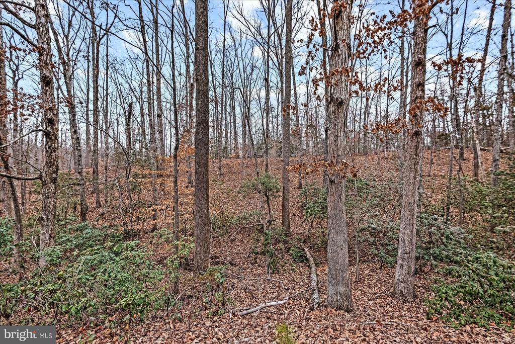 0 PINE HARBOUR DR, MINERAL, Virginia 23117, ,Land,0 PINE HARBOUR DR,VALA2009292 MLS # VALA2009292 0 PINE HARBOUR DR, MINERAL, Virginia 23117, ,Land,0 PINE HARBOUR DR,VALA2009292 MLS # VALA2009292