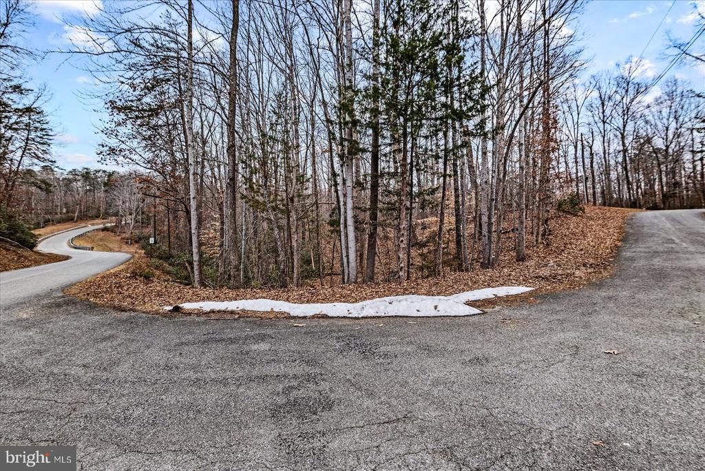 0 PINE HARBOUR DR, MINERAL, Virginia 23117, ,Land,0 PINE HARBOUR DR,VALA2009292 MLS # VALA2009292 0 PINE HARBOUR DR, MINERAL, Virginia 23117, ,Land,0 PINE HARBOUR DR,VALA2009292 MLS # VALA2009292