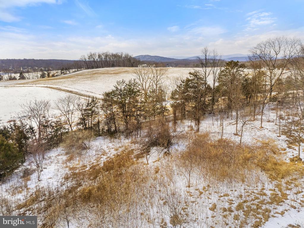 33 DOCS RD, CULPEPER, Virginia 22701, ,Land,33 DOCS RD,VACU2013014 MLS # VACU2013014