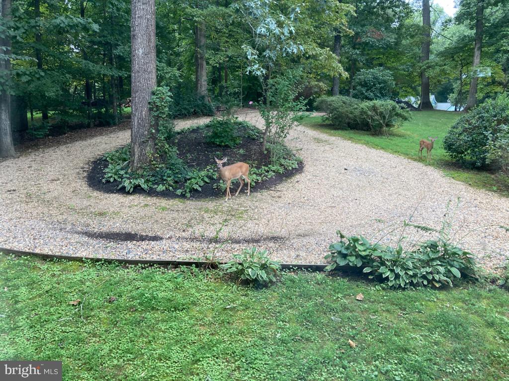 10221 HELENA TER, SPOTSYLVANIA, Virginia 22553, 3 Bedrooms Bedrooms, ,3 BathroomsBathrooms,Residential,10221 HELENA TER,VASP2039186 MLS # VASP2039186