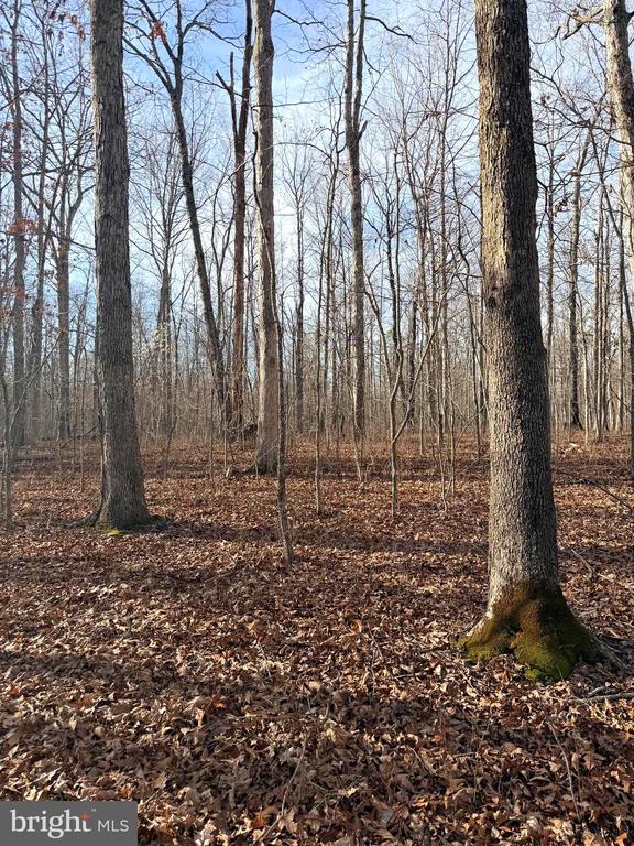 R/W OFF JUSTICE DR, ORANGE, Virginia 22960, ,Land,R/W OFF JUSTICE DR,VAOR2013614 MLS # VAOR2013614