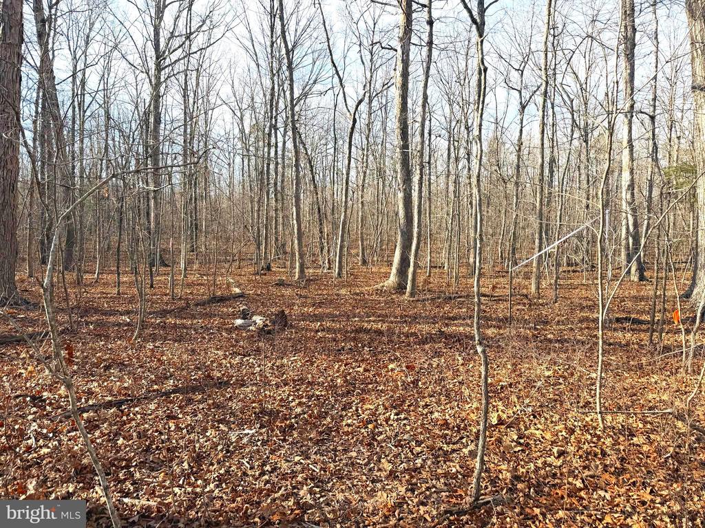 R/W OFF JUSTICE DR, ORANGE, Virginia 22960, ,Land,R/W OFF JUSTICE DR,VAOR2013614 MLS # VAOR2013614