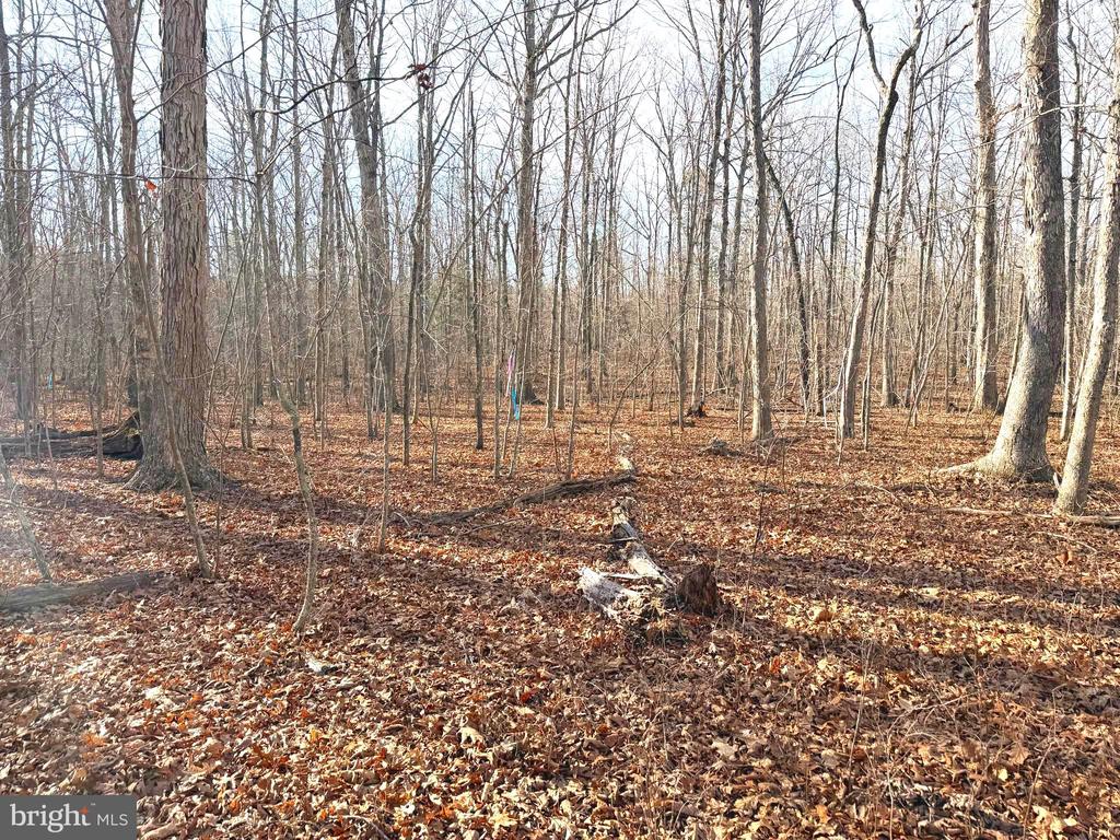 R/W OFF JUSTICE DR, ORANGE, Virginia 22960, ,Land,R/W OFF JUSTICE DR,VAOR2013614 MLS # VAOR2013614