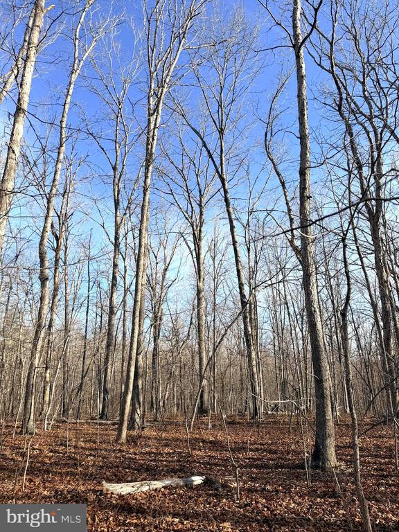 R/W OFF JUSTICE DR, ORANGE, Virginia 22960, ,Land,R/W OFF JUSTICE DR,VAOR2013614 MLS # VAOR2013614