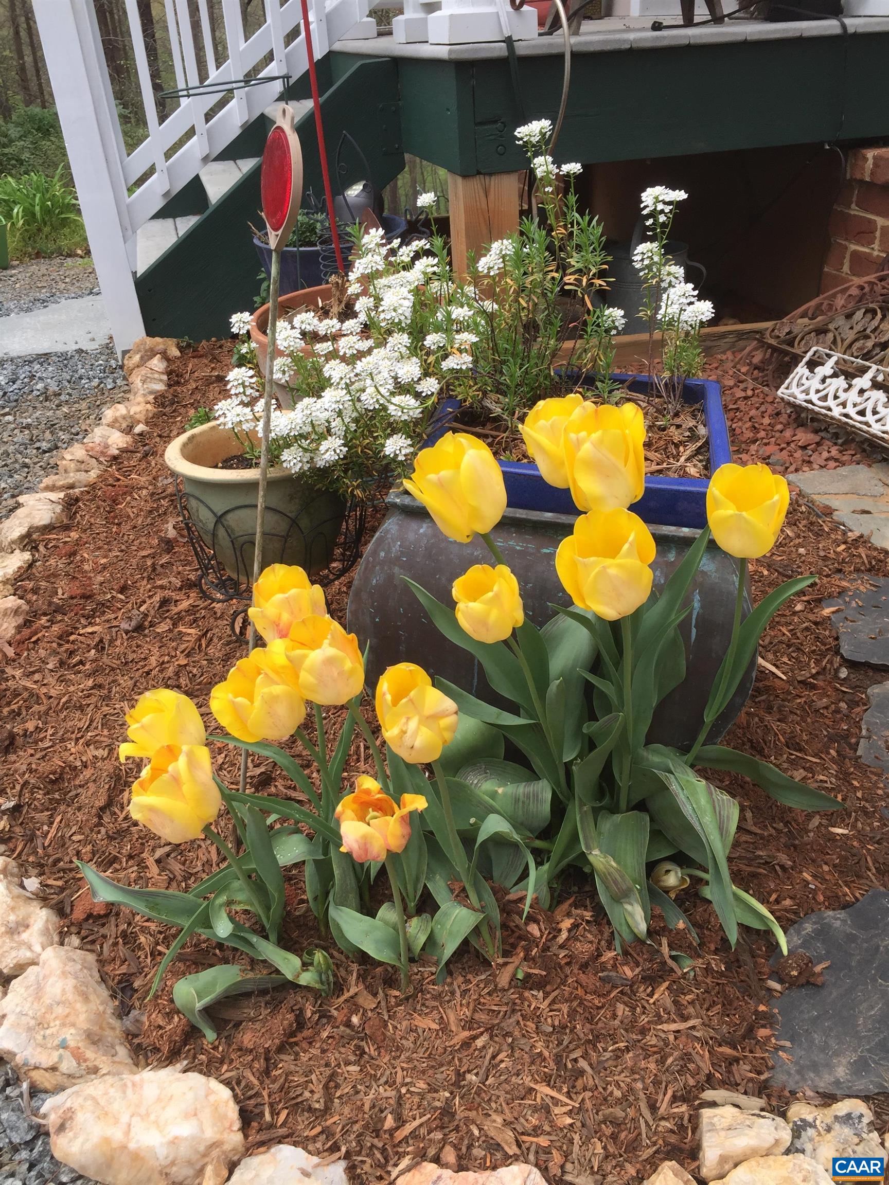 5864 WYANT LN, CHARLOTTESVILLE, Virginia 22903, 5 Bedrooms Bedrooms, ,4 BathroomsBathrooms,Residential,ROOSTER HILL,5864 WYANT LN,674690 MLS # 674690