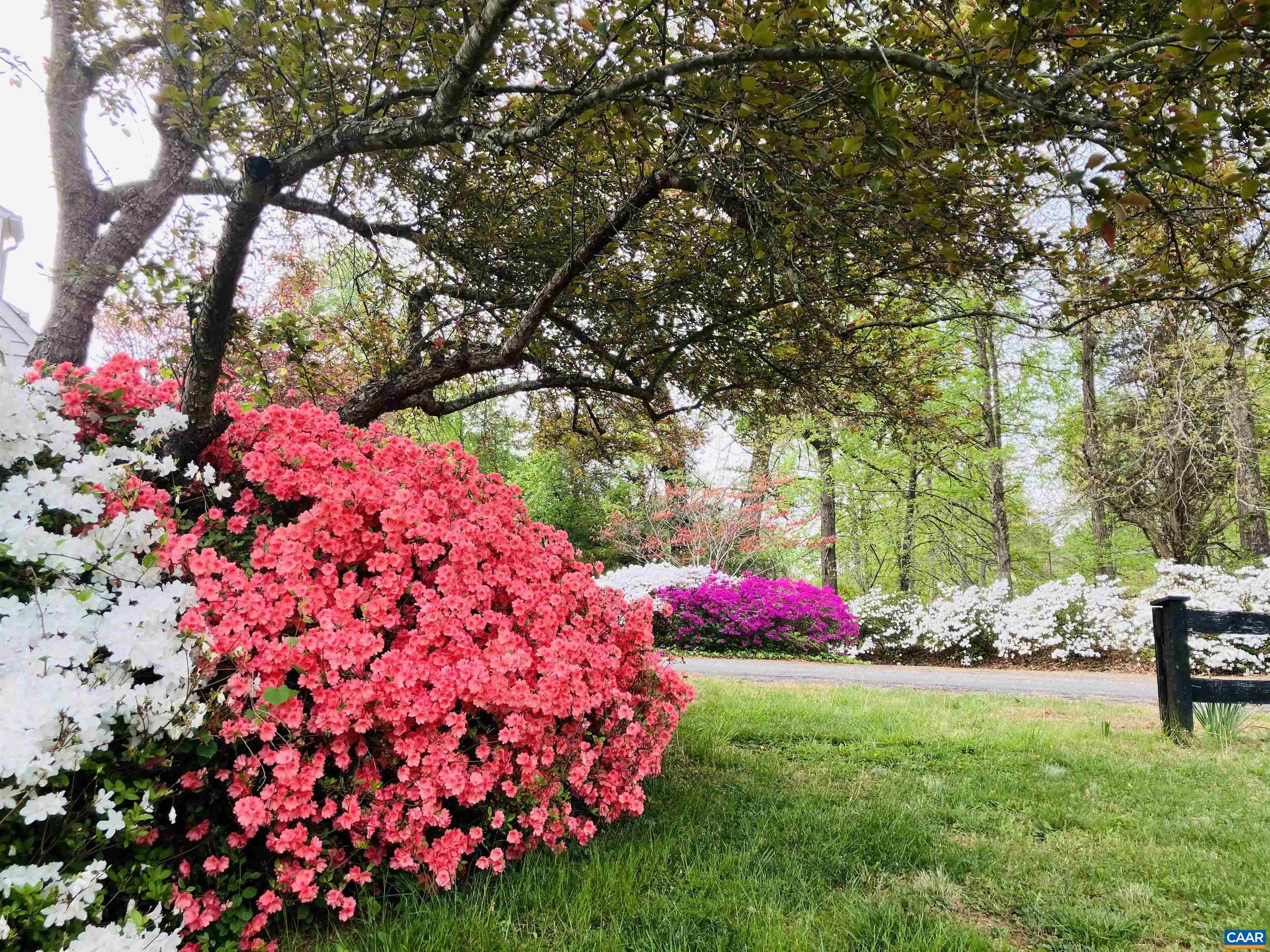 4051 FREE UNION RD, CHARLOTTESVILLE, Virginia 22901, 5 Bedrooms Bedrooms, ,3 BathroomsBathrooms,Residential,Little Slice of Heaven in Free Union,4051 FREE UNION RD,674144 MLS # 674144