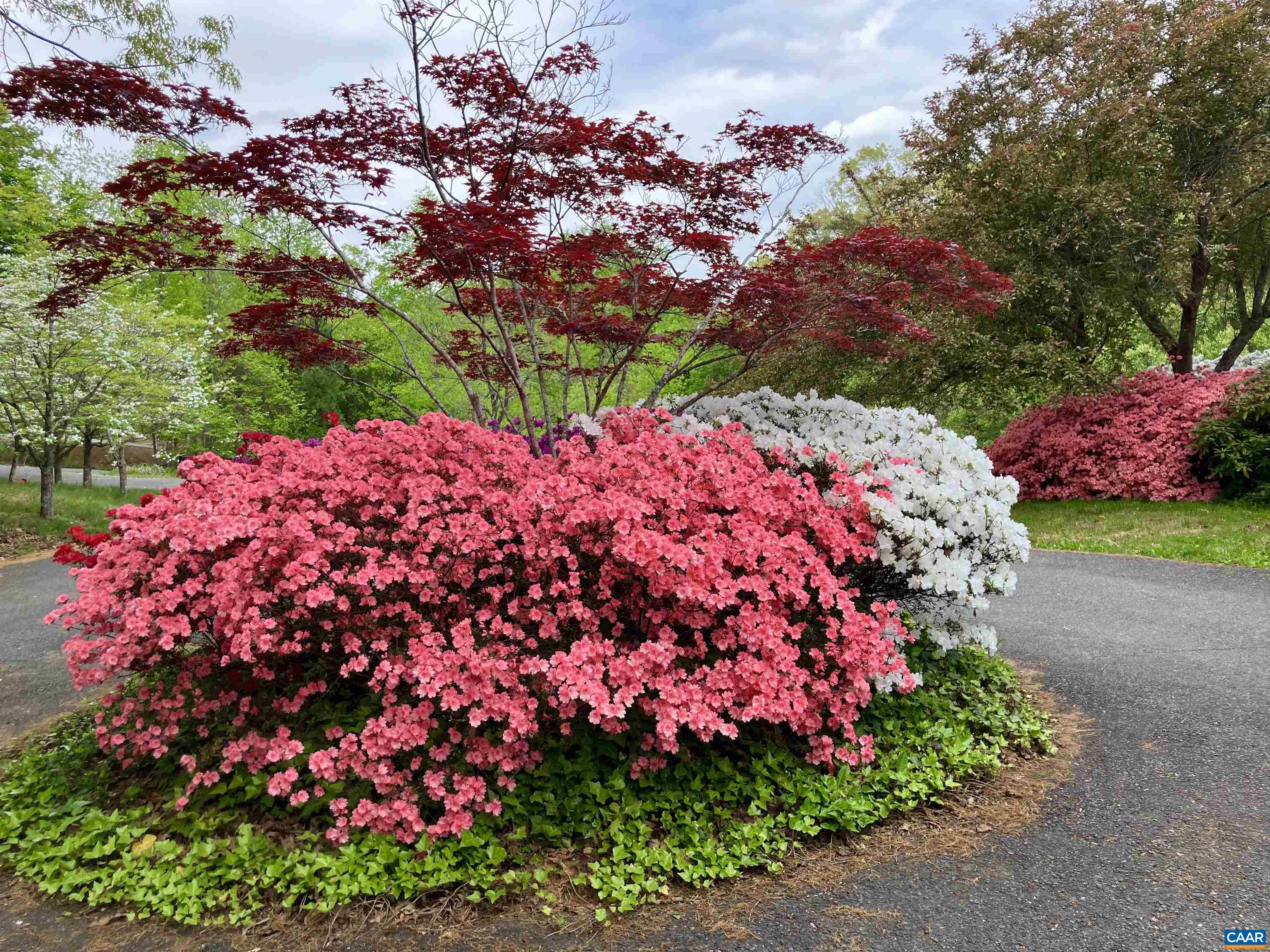 4051 FREE UNION RD, CHARLOTTESVILLE, Virginia 22901, 5 Bedrooms Bedrooms, ,3 BathroomsBathrooms,Residential,Little Slice of Heaven in Free Union,4051 FREE UNION RD,674144 MLS # 674144