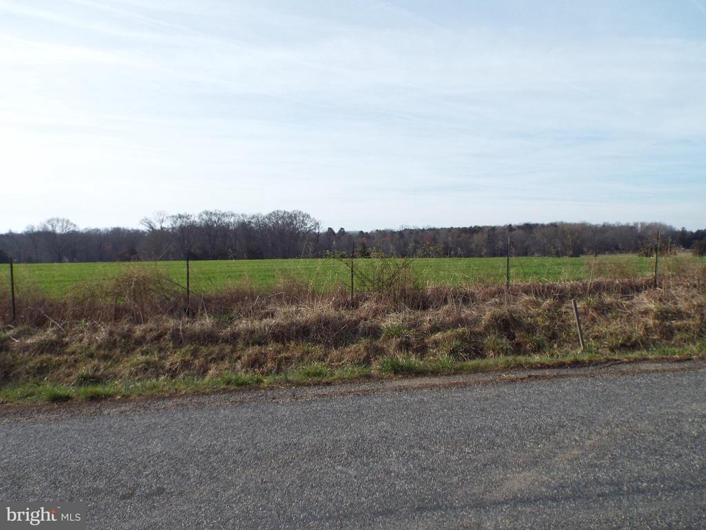 11745 WINDY ACRES LN, LOCUST GROVE, Virginia 22508, ,Land,11745 WINDY ACRES LN,VASP2040242 MLS # VASP2040242