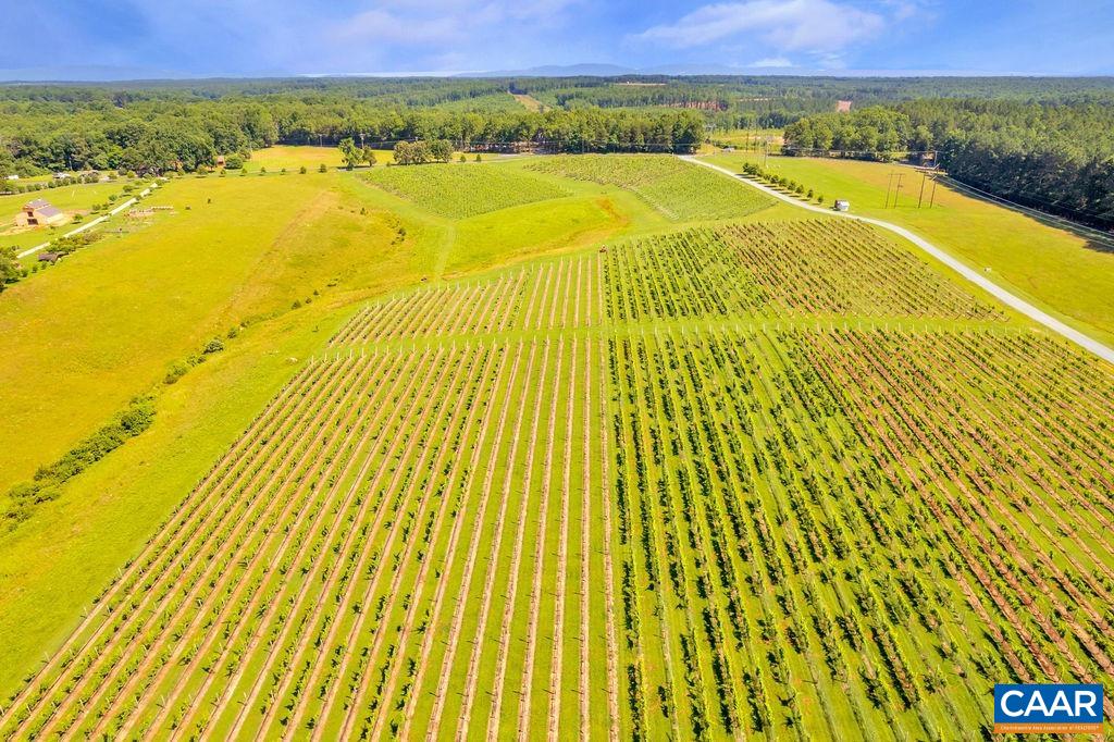 3304A RURITAN LAKE RD, PALMYRA, Virginia 22963, ,Farm,Cunningham Creek Winery,3304A RURITAN LAKE RD,645193 MLS # 645193