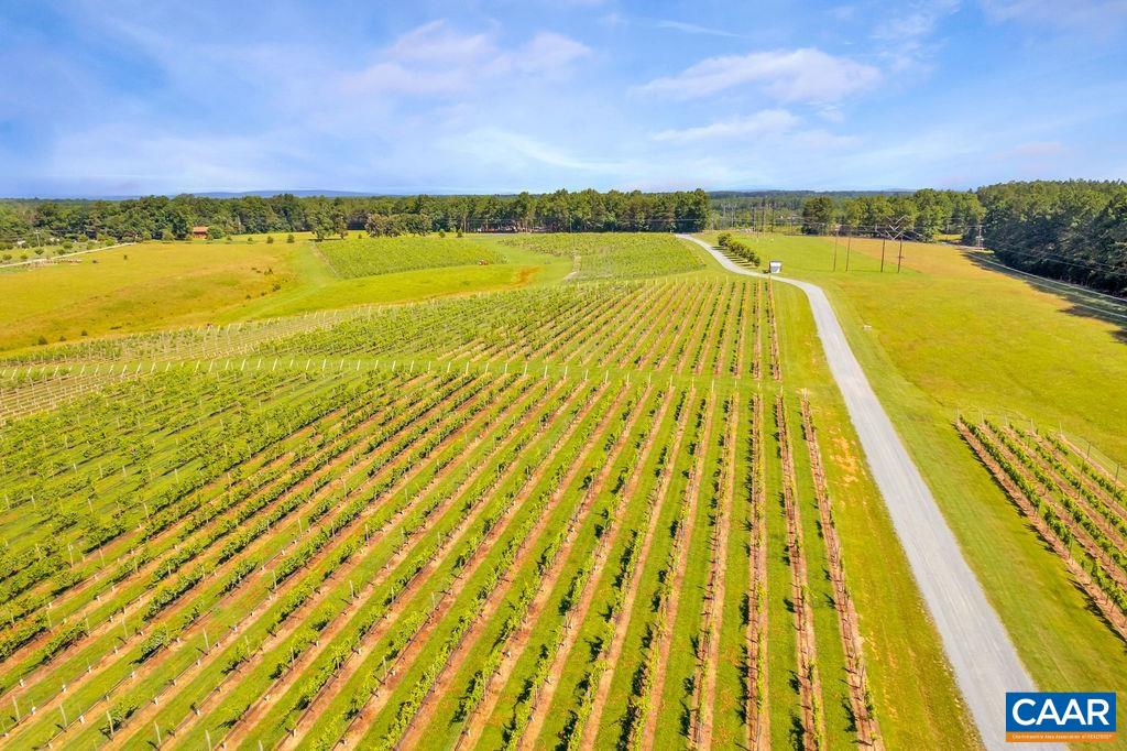 3304A RURITAN LAKE RD, PALMYRA, Virginia 22963, ,Farm,Cunningham Creek Winery,3304A RURITAN LAKE RD,645193 MLS # 645193