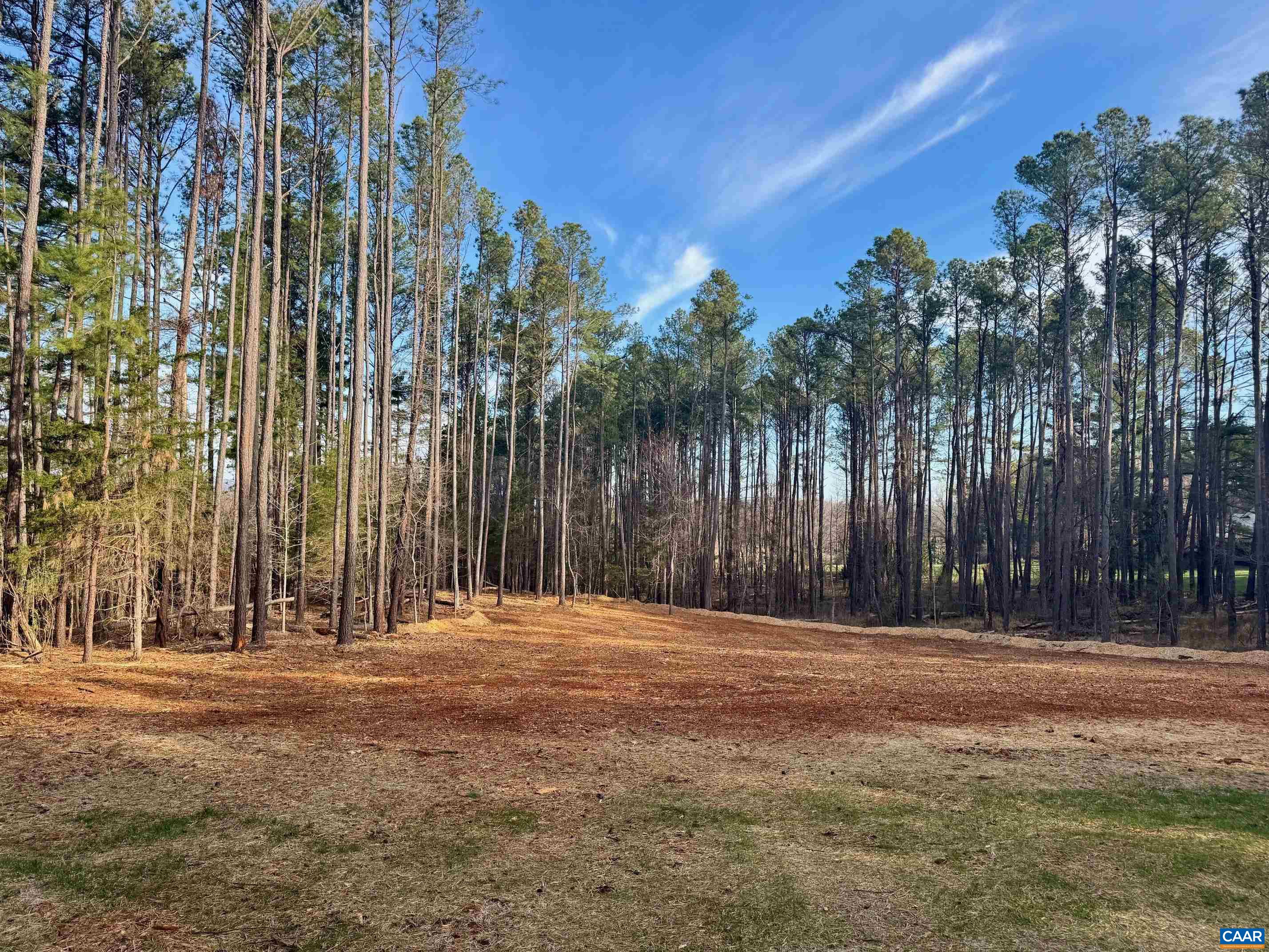 000 GARTH RD, CHARLOTTESVILLE, Virginia 22901, ,Land,000 GARTH RD,674701 MLS # 674701