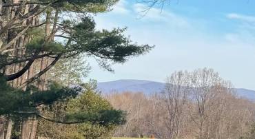 This is the view from house next door.  This parcel offers this potential with more clearing.