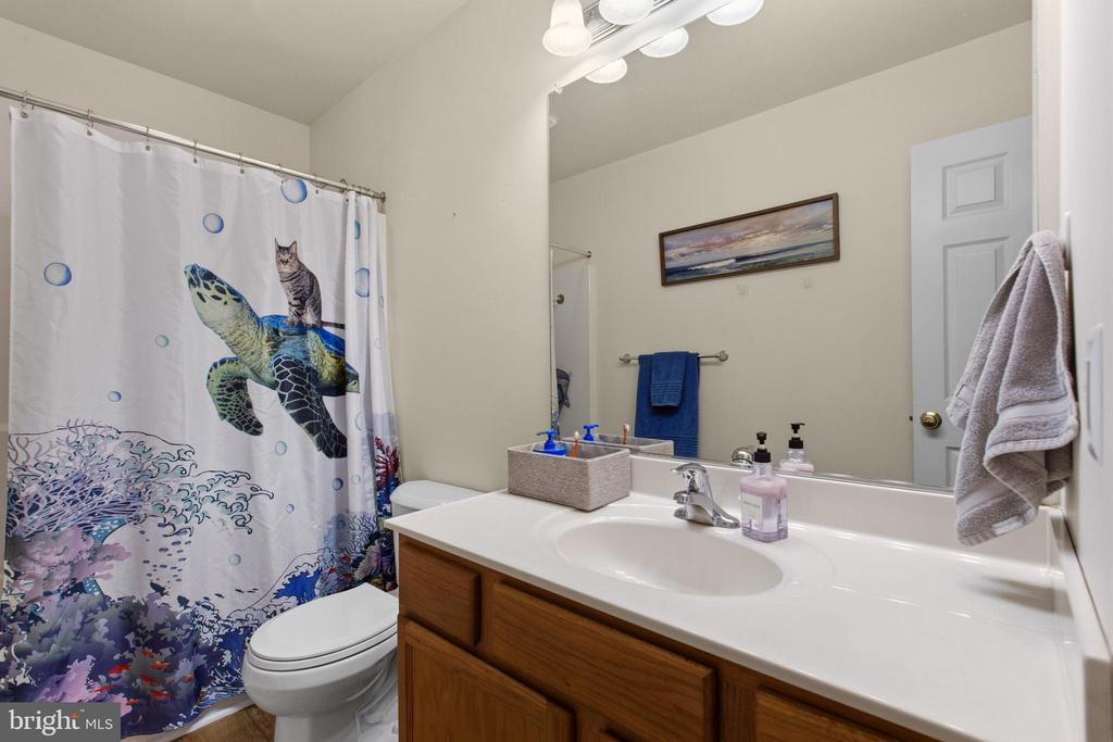 10132 WALLERS RD, PARTLOW, Virginia 22534, 3 Bedrooms Bedrooms, ,2 BathroomsBathrooms,Residential,10132 WALLERS RD,VASP2040244 MLS # VASP2040244 10132 WALLERS RD, PARTLOW, Virginia 22534, 3 Bedrooms Bedrooms, ,2 BathroomsBathrooms,Residential,10132 WALLERS RD,VASP2040244 MLS # VASP2040244