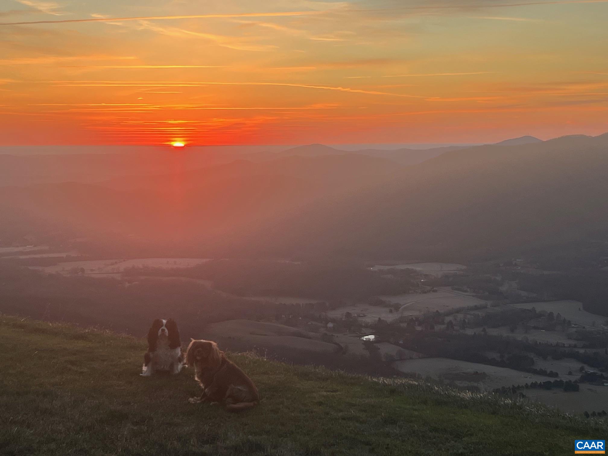 0 BRYANT MOUNTAIN RD, ROSELAND, Virginia 22967, 3 Bedrooms Bedrooms, ,2 BathroomsBathrooms,Residential,0 BRYANT MOUNTAIN RD,674507 MLS # 674507