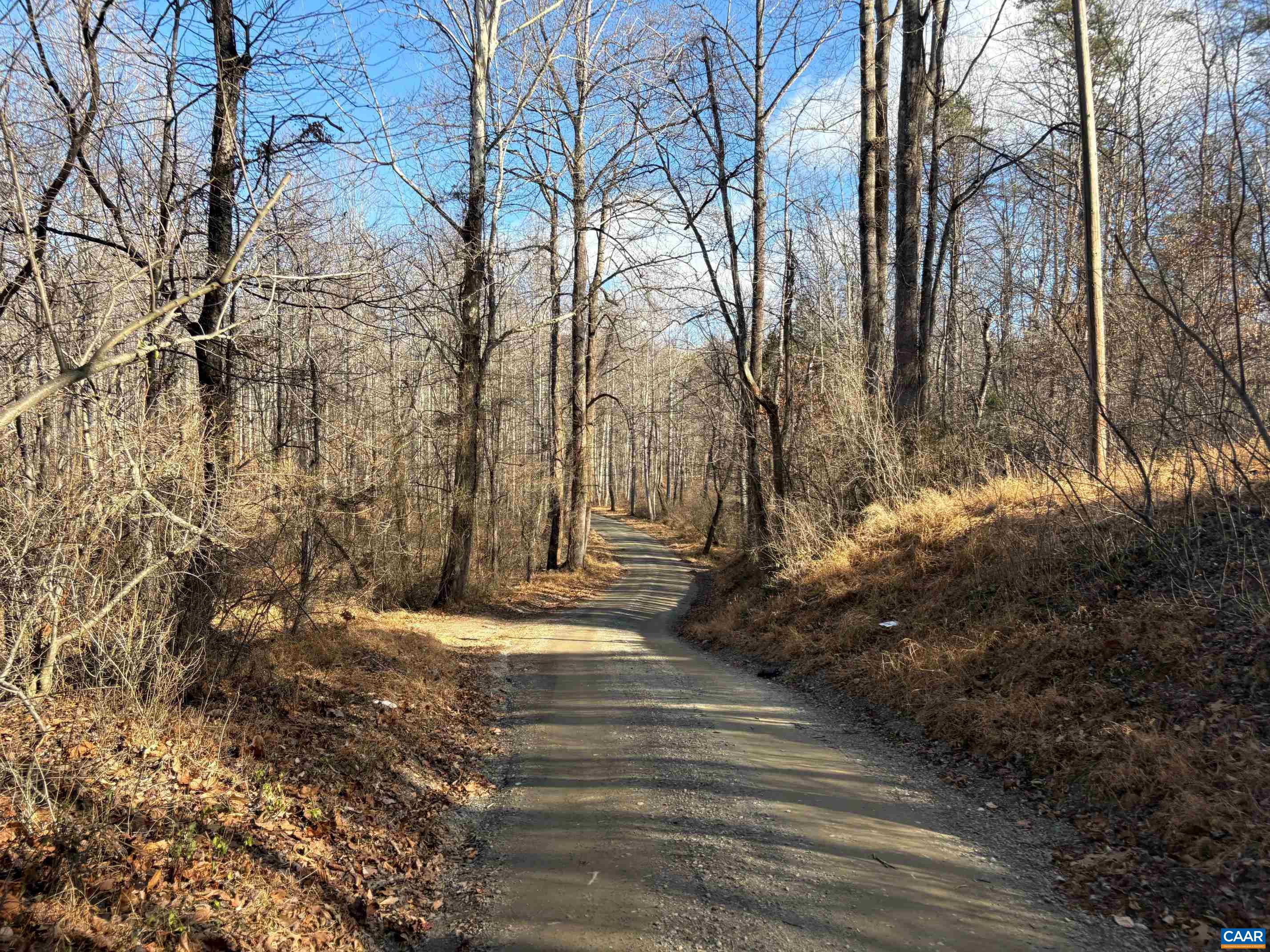 TM 23-5A MITCHELL MOUNTAIN RD, HAYWOOD, Virginia 22722, ,Land,Tax Map 23, Parcel 5A,TM 23-5A MITCHELL MOUNTAIN RD,669086 MLS # 669086