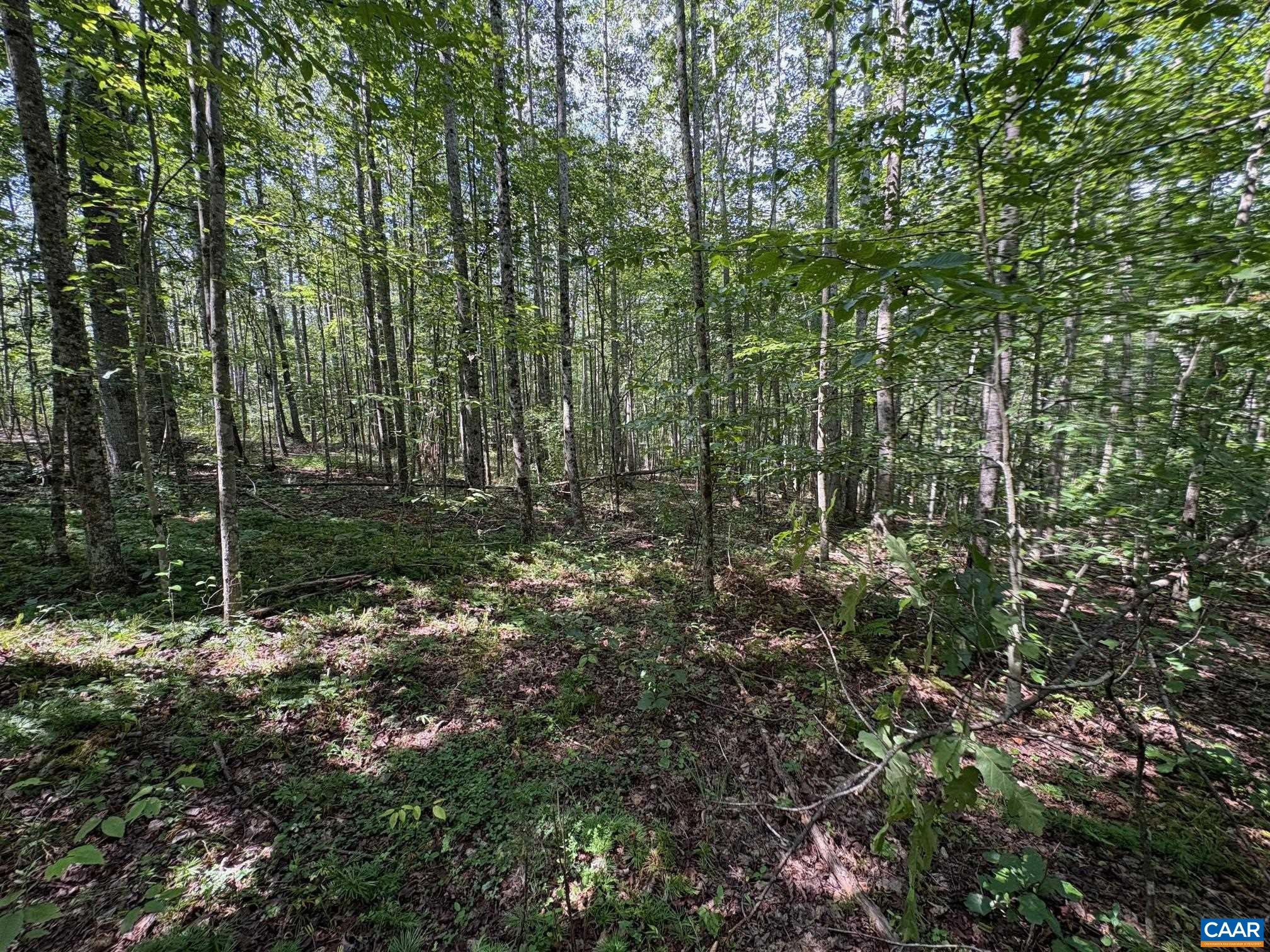 TM 23-5A MITCHELL MOUNTAIN RD, HAYWOOD, Virginia 22722, ,Land,Tax Map 23, Parcel 5A,TM 23-5A MITCHELL MOUNTAIN RD,669086 MLS # 669086