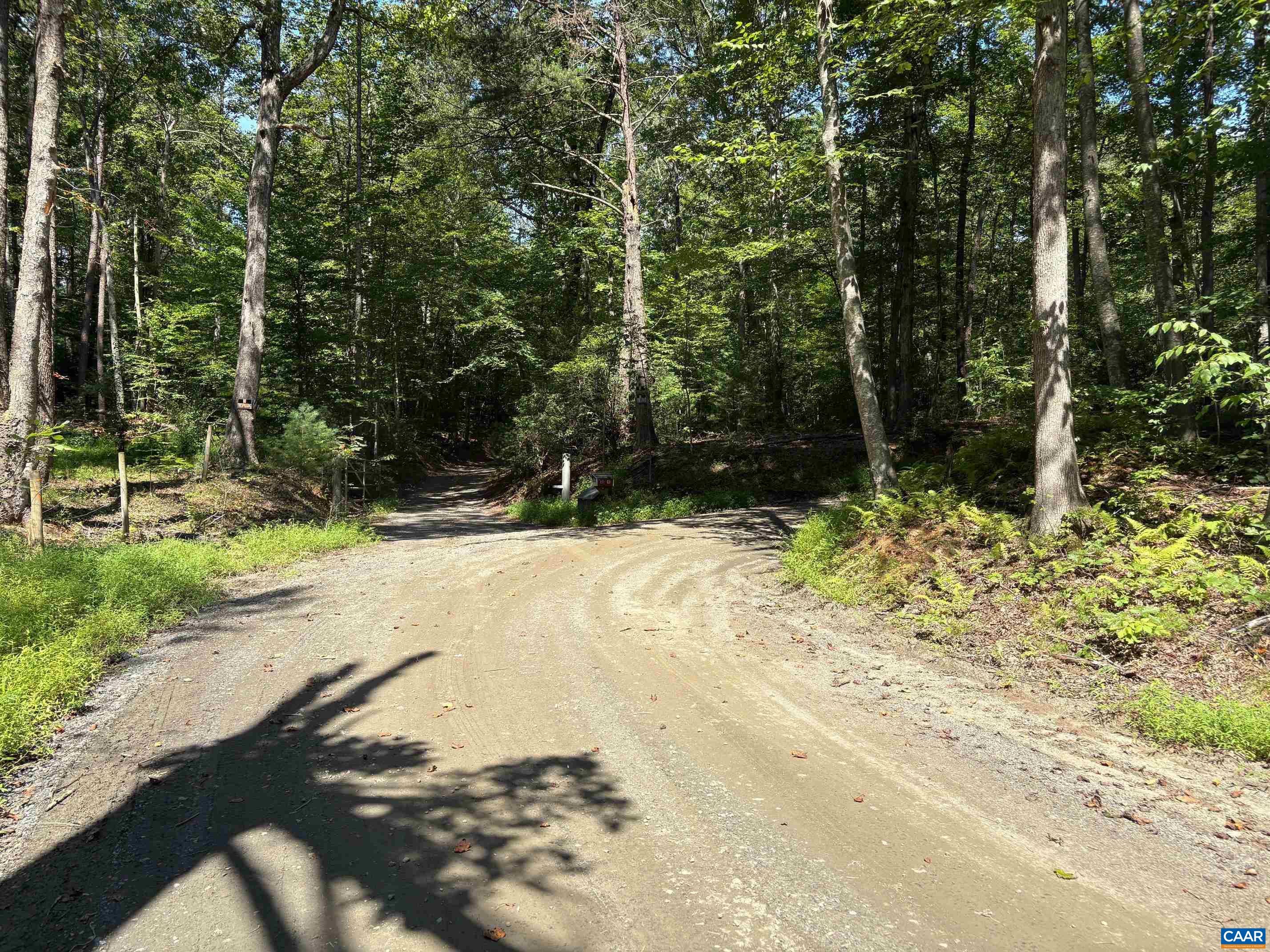 TM 23-5A MITCHELL MOUNTAIN RD, HAYWOOD, Virginia 22722, ,Land,Tax Map 23, Parcel 5A,TM 23-5A MITCHELL MOUNTAIN RD,669086 MLS # 669086