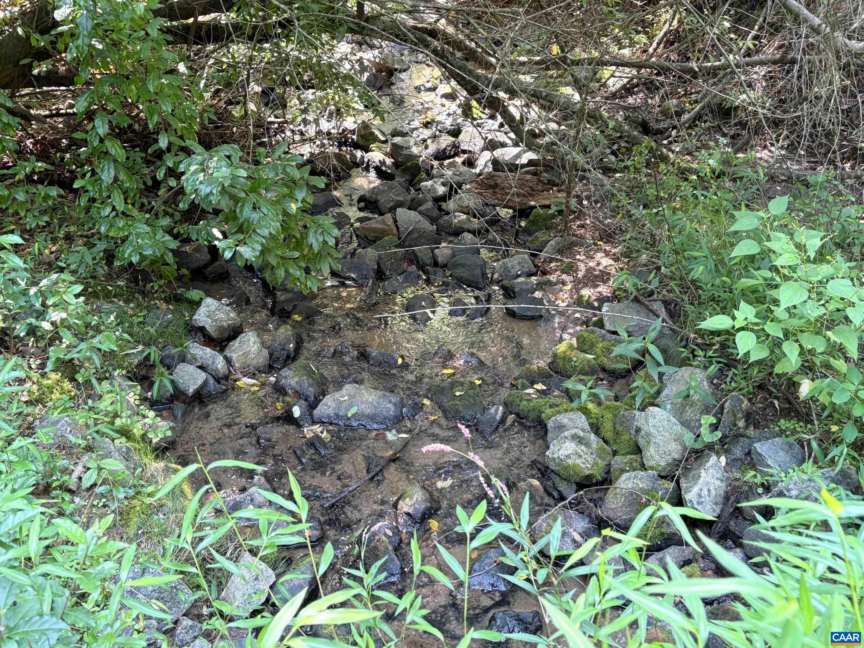 TM 23-5A MITCHELL MOUNTAIN RD, HAYWOOD, Virginia 22722, ,Land,Tax Map 23, Parcel 5A,TM 23-5A MITCHELL MOUNTAIN RD,669086 MLS # 669086