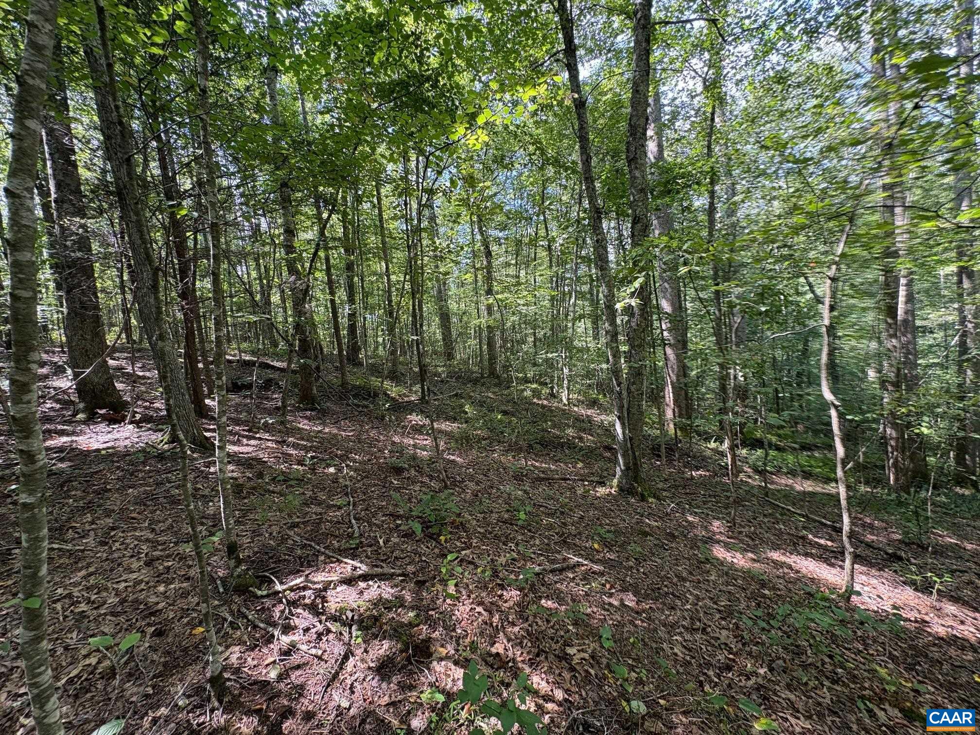 TM 23-5A MITCHELL MOUNTAIN RD, HAYWOOD, Virginia 22722, ,Land,Tax Map 23, Parcel 5A,TM 23-5A MITCHELL MOUNTAIN RD,669086 MLS # 669086