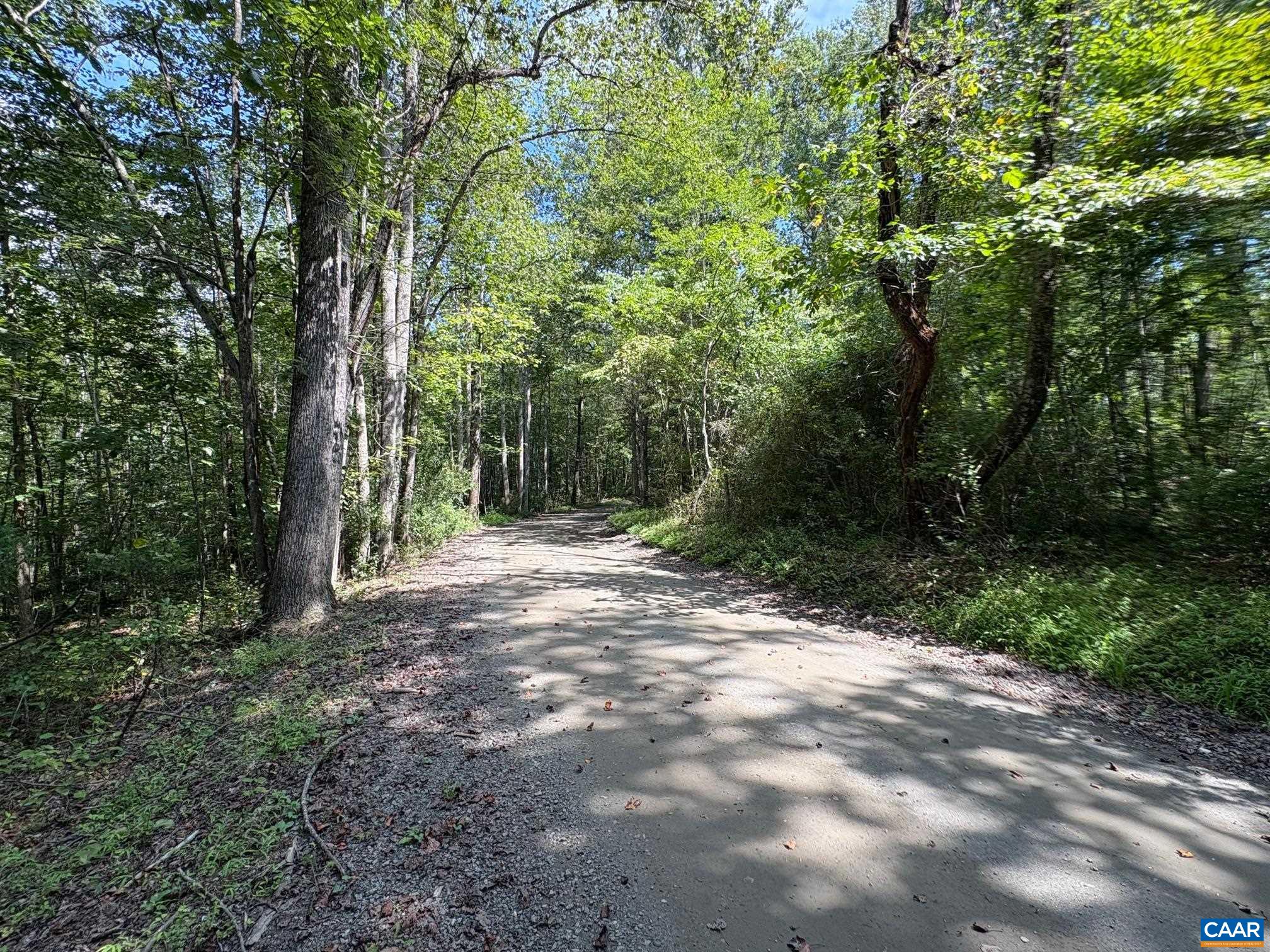 TM 23-5A MITCHELL MOUNTAIN RD, HAYWOOD, Virginia 22722, ,Land,Tax Map 23, Parcel 5A,TM 23-5A MITCHELL MOUNTAIN RD,669086 MLS # 669086