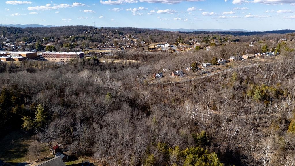 850 COMMERCE RD, STAUNTON, Virginia 24401, ,Land,850 COMMERCE RD,673859 MLS # 673859