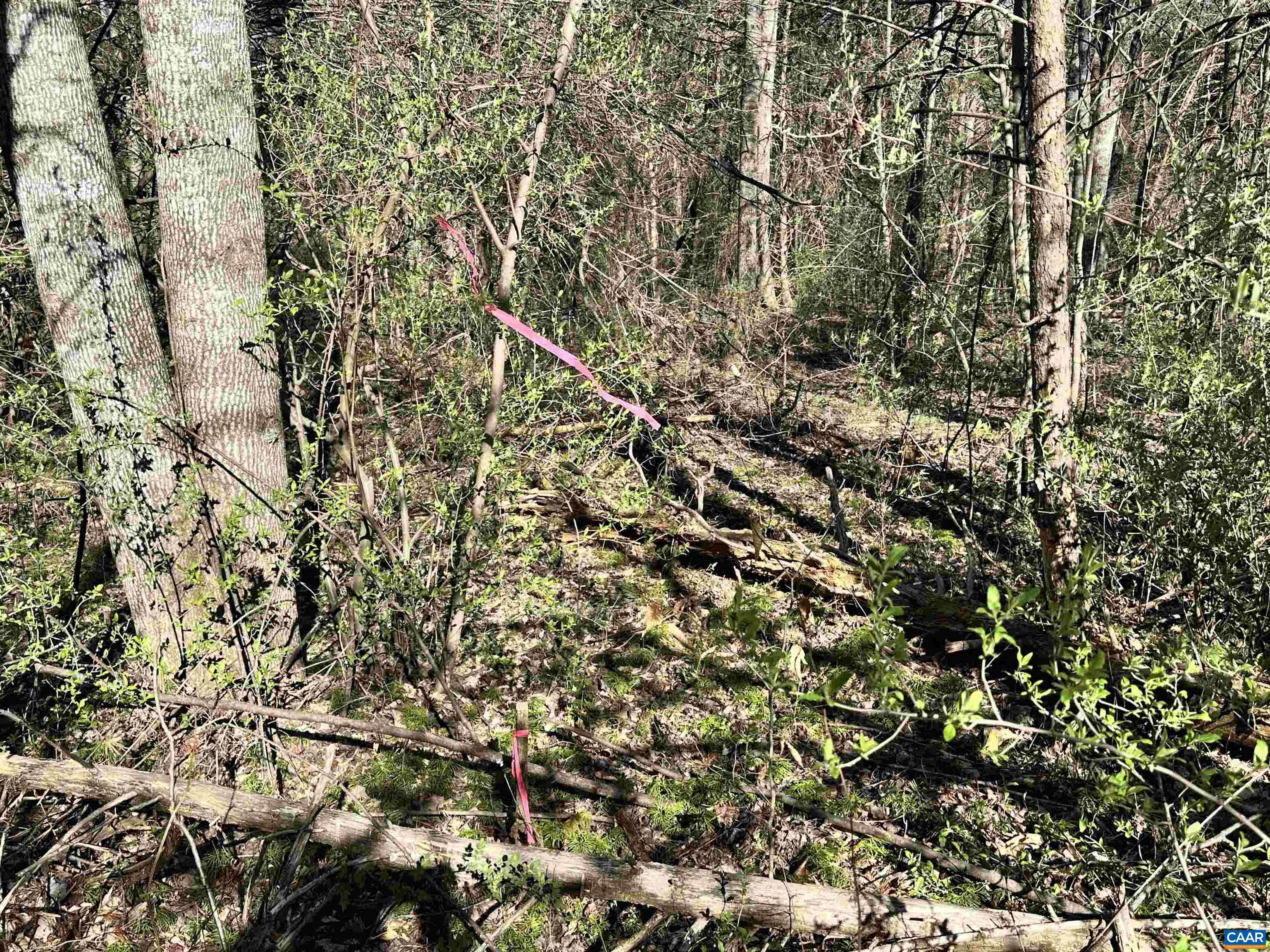 00 INDIAN TRACE TRL, UNIONVILLE, Virginia 22567, ,Land,00 INDIAN TRACE TRL,674743 MLS # 674743