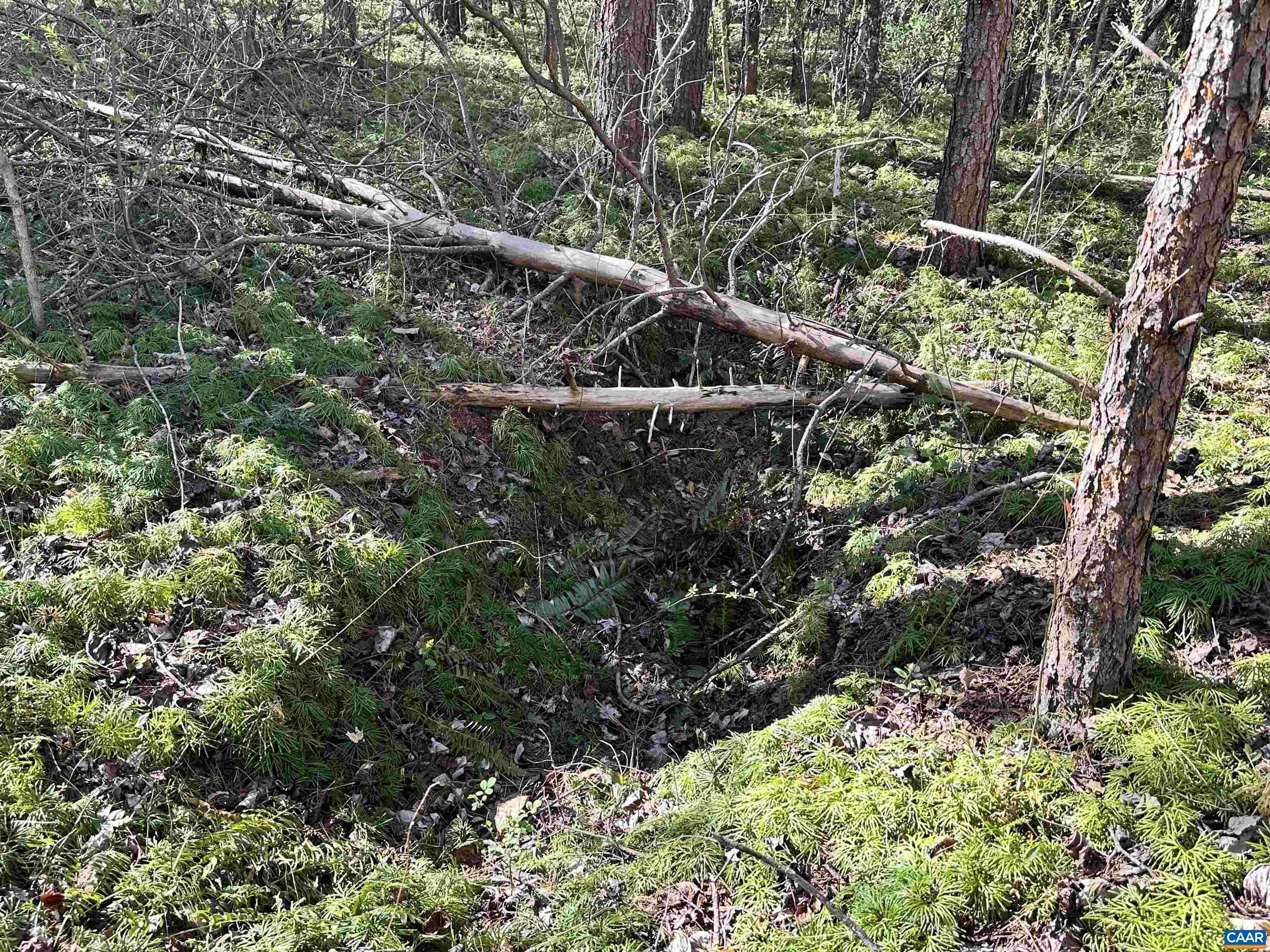 00 INDIAN TRACE TRL, UNIONVILLE, Virginia 22567, ,Land,00 INDIAN TRACE TRL,674743 MLS # 674743