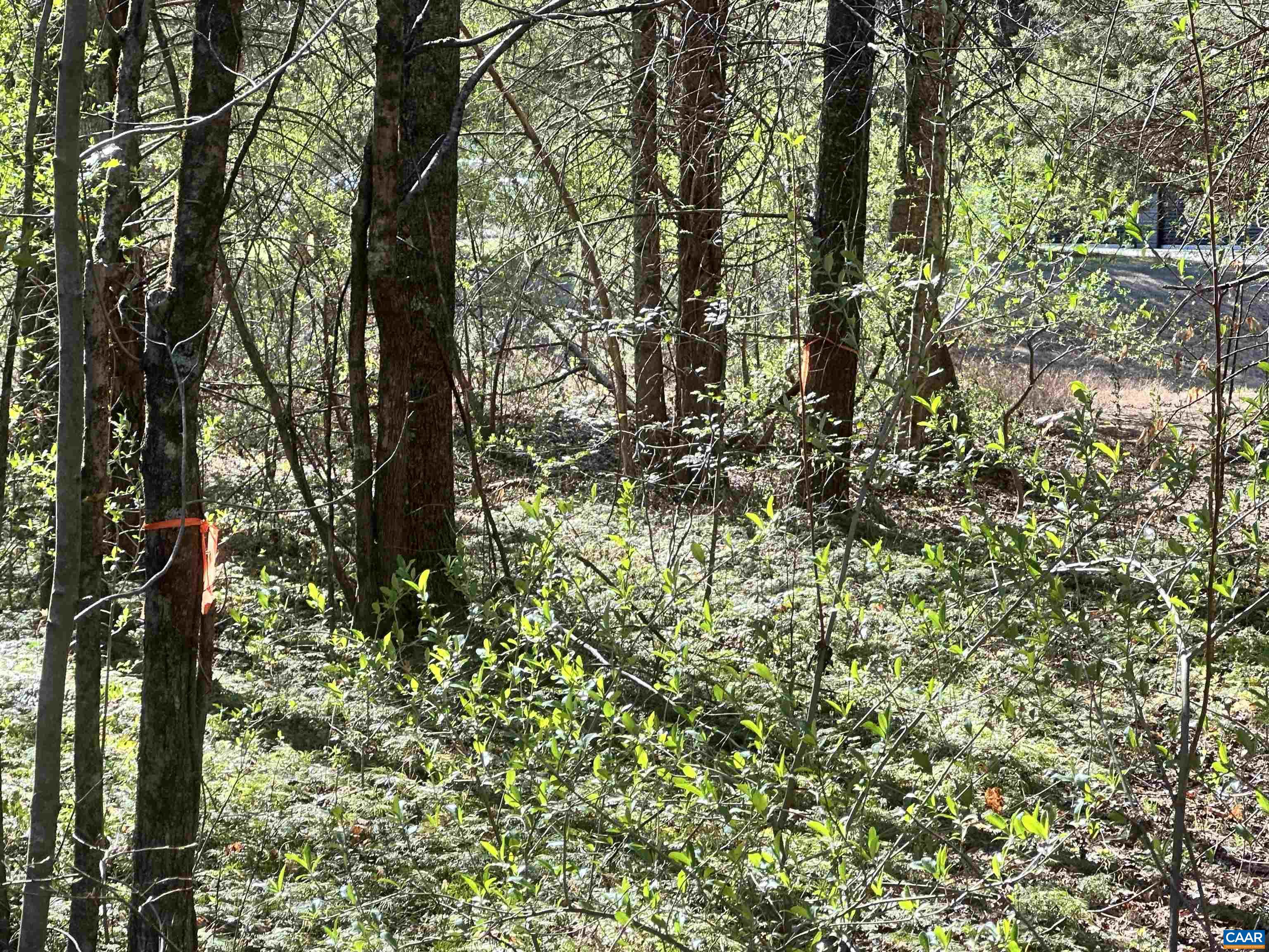 00 INDIAN TRACE TRL, UNIONVILLE, Virginia 22567, ,Land,00 INDIAN TRACE TRL,674743 MLS # 674743