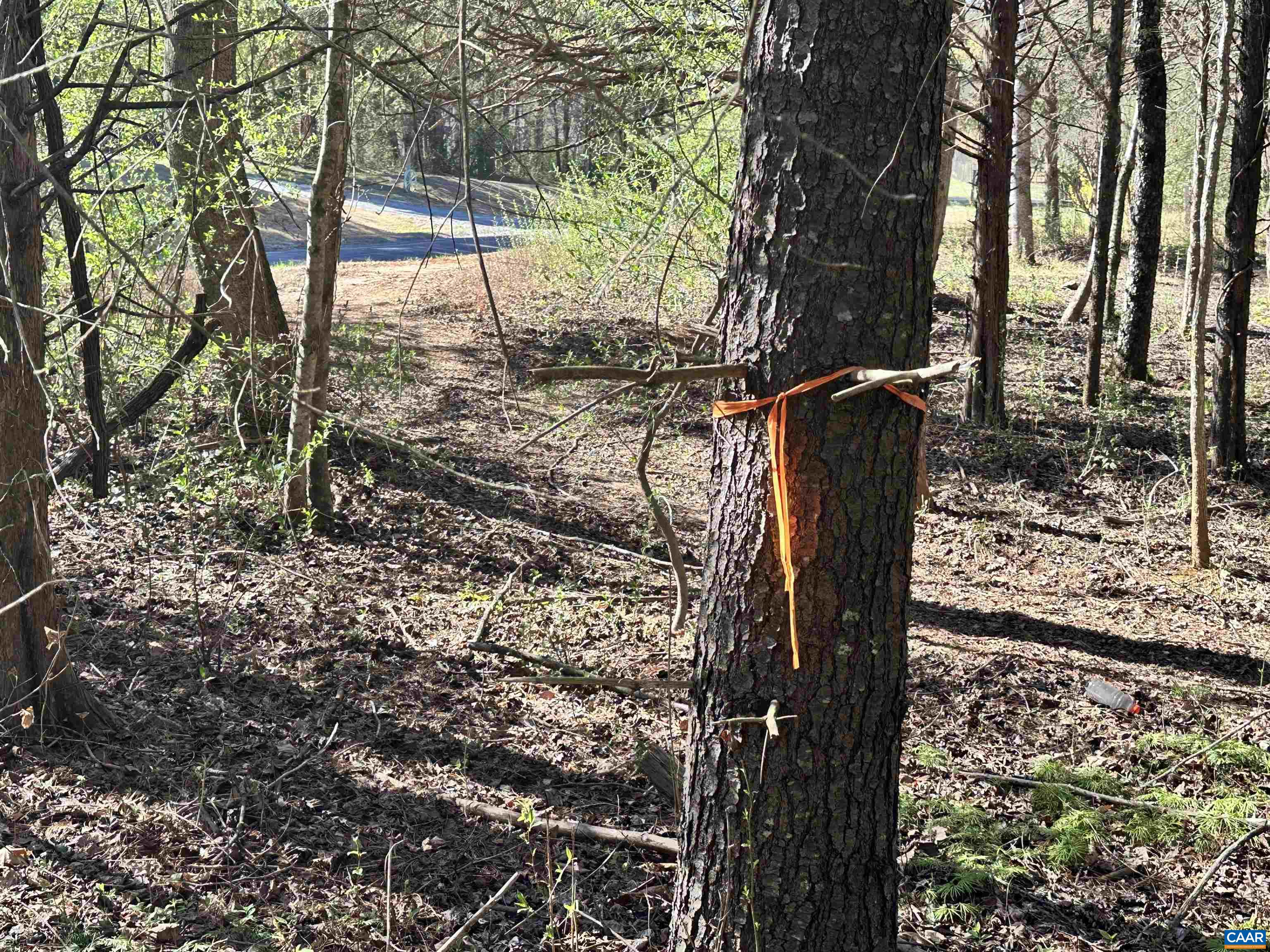 00 INDIAN TRACE TRL, UNIONVILLE, Virginia 22567, ,Land,00 INDIAN TRACE TRL,674743 MLS # 674743