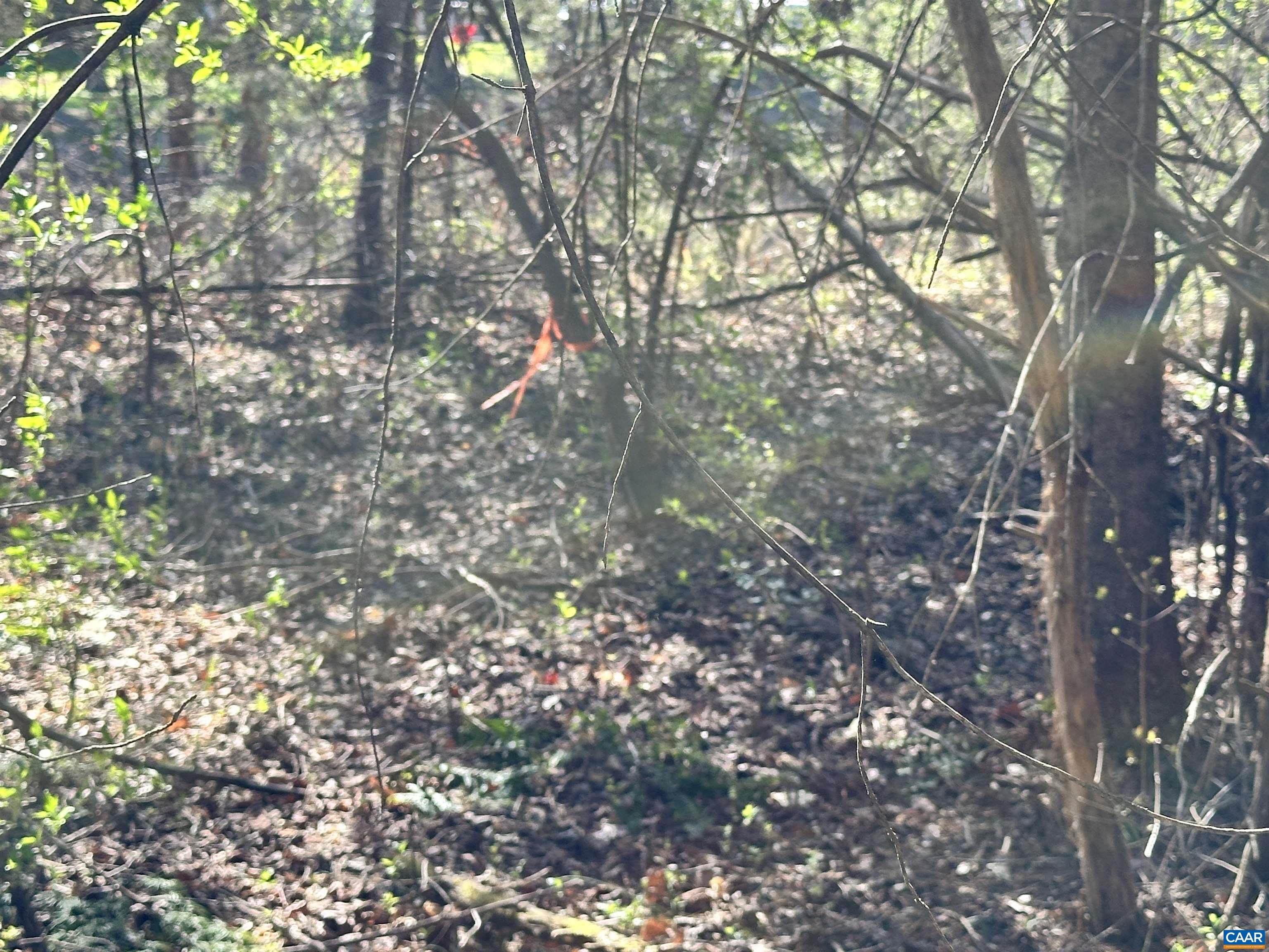 00 INDIAN TRACE TRL, UNIONVILLE, Virginia 22567, ,Land,00 INDIAN TRACE TRL,674743 MLS # 674743