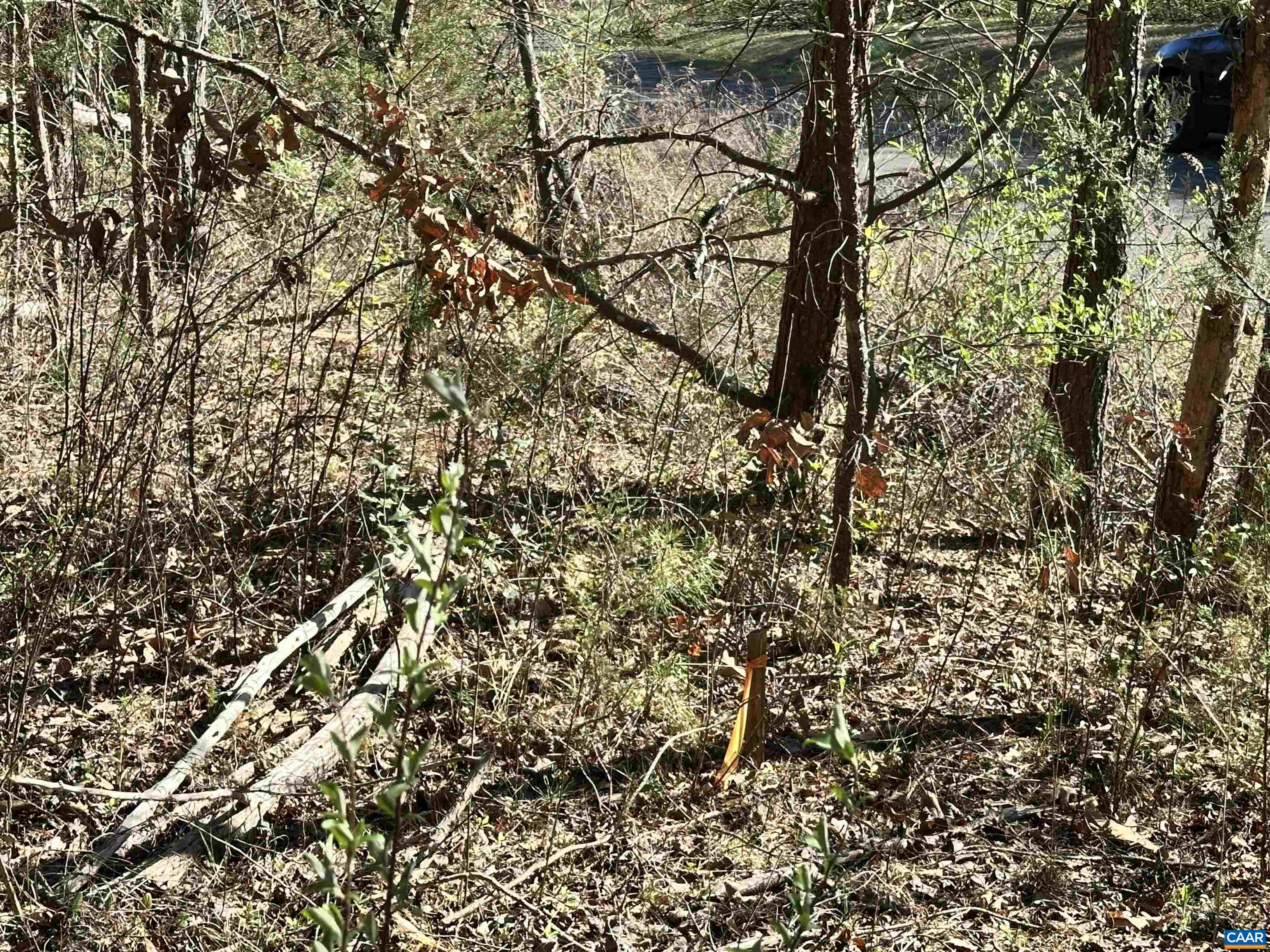 00 INDIAN TRACE TRL, UNIONVILLE, Virginia 22567, ,Land,00 INDIAN TRACE TRL,674743 MLS # 674743