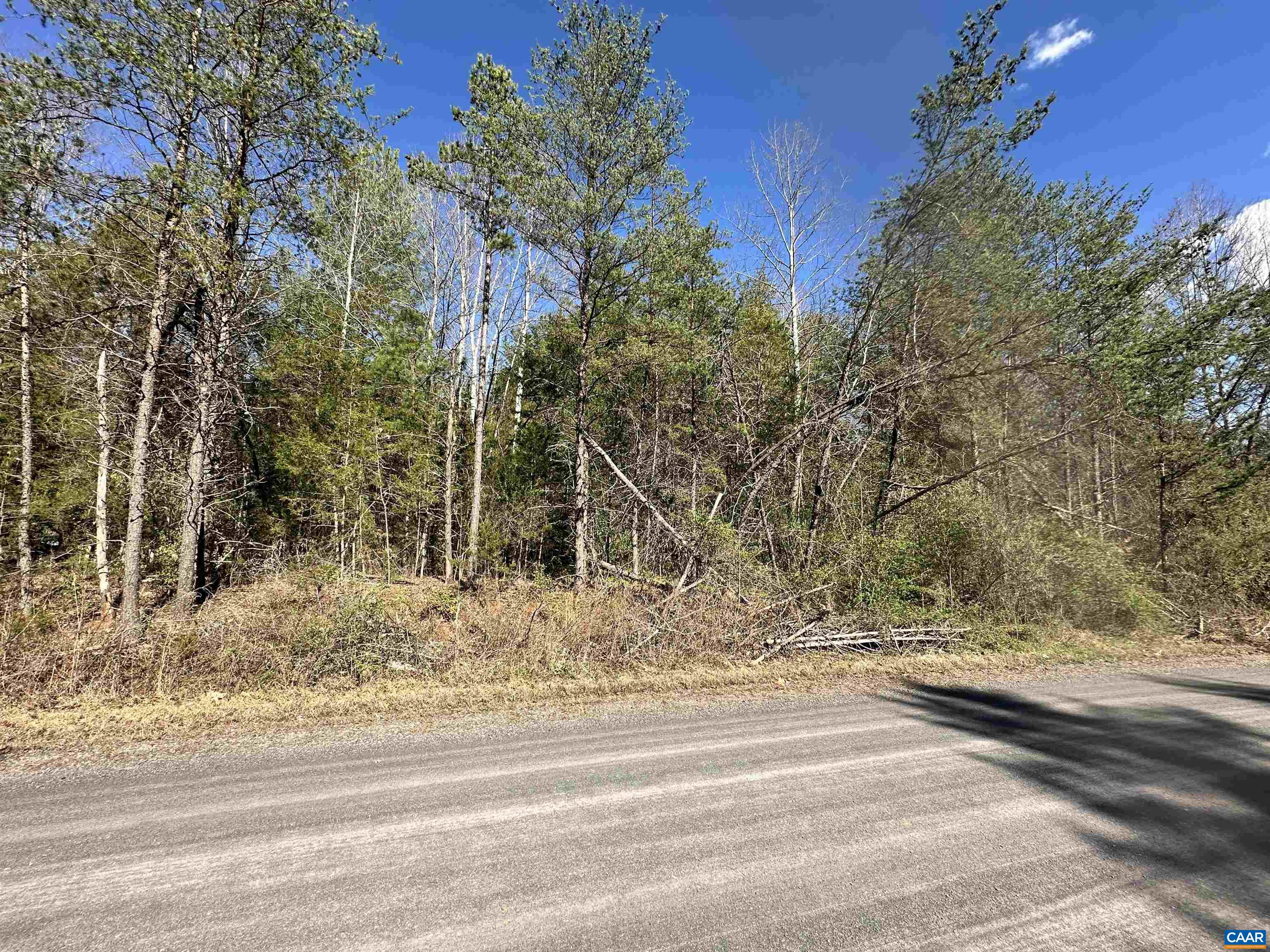 Level lot in front, then gradually slopes downward to Terry's Run at lot rear.