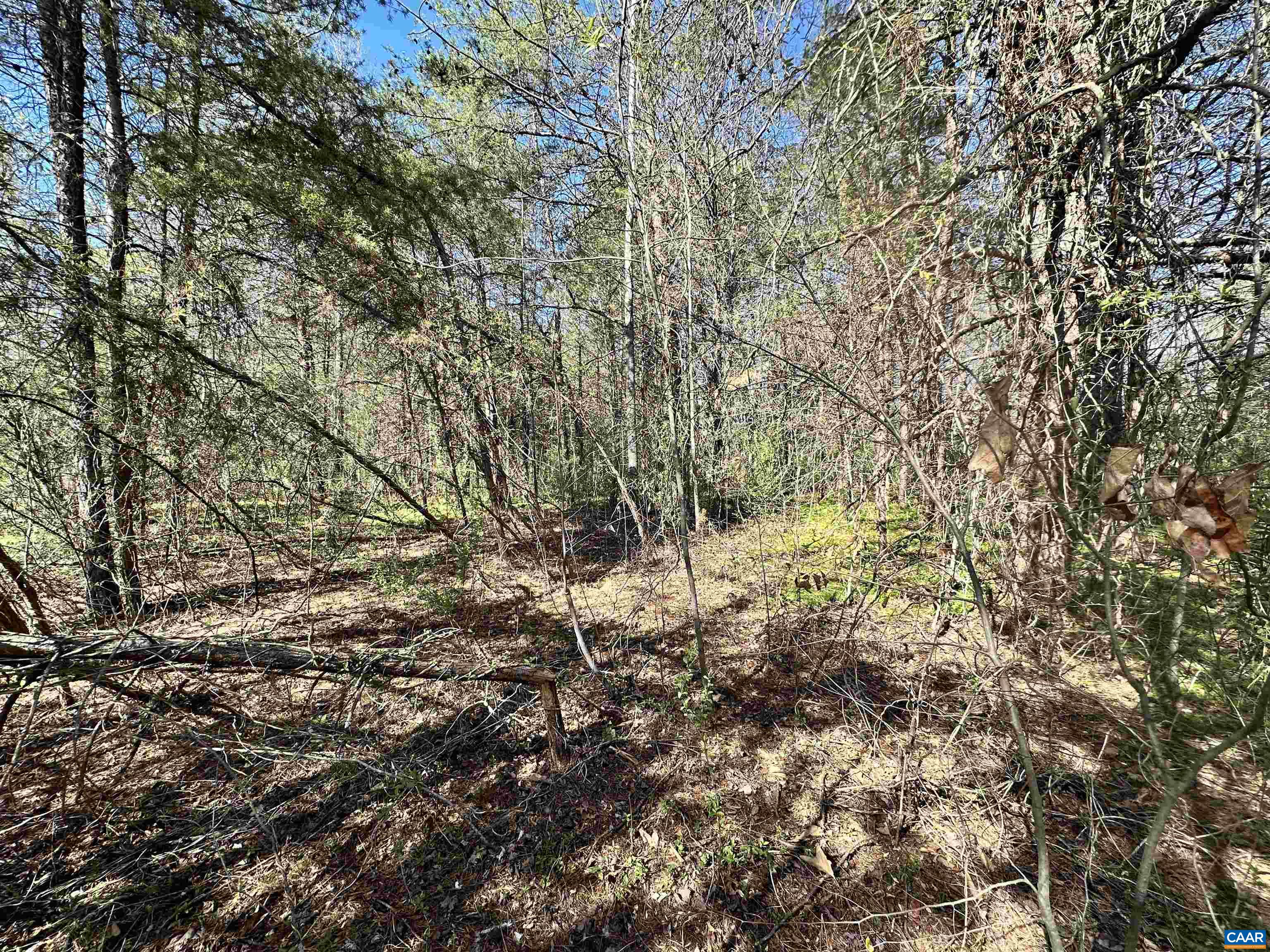 00 INDIAN TRACE TRL, UNIONVILLE, Virginia 22567, ,Land,00 INDIAN TRACE TRL,674743 MLS # 674743