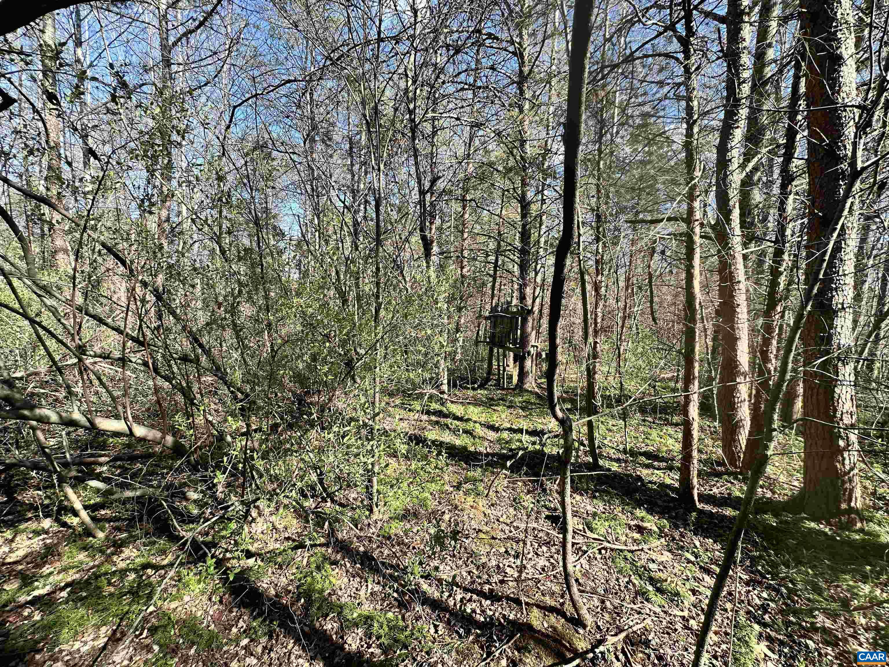 00 INDIAN TRACE TRL, UNIONVILLE, Virginia 22567, ,Land,00 INDIAN TRACE TRL,674743 MLS # 674743
