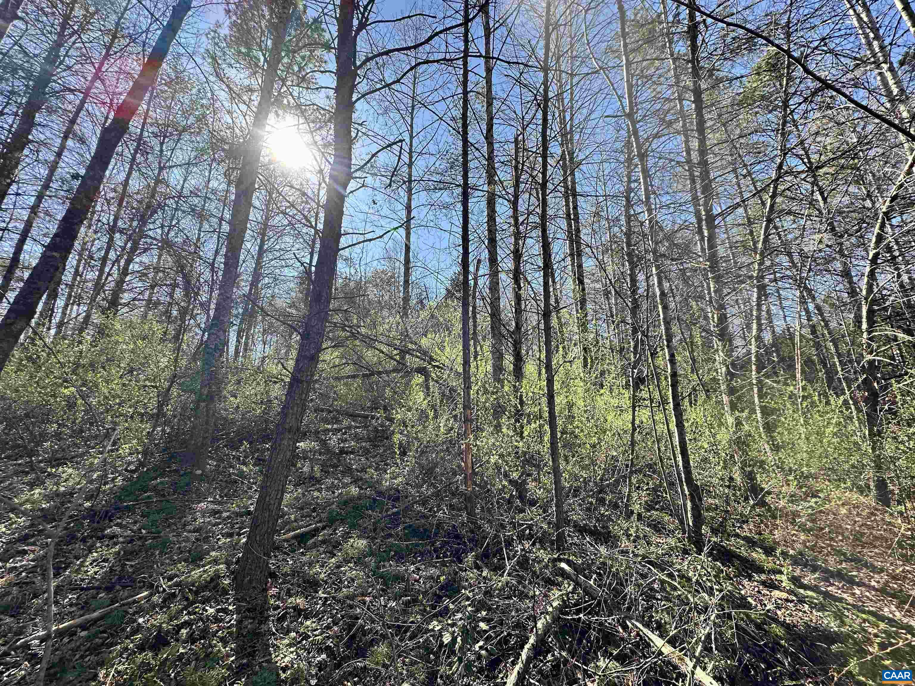 00 INDIAN TRACE TRL, UNIONVILLE, Virginia 22567, ,Land,00 INDIAN TRACE TRL,674743 MLS # 674743