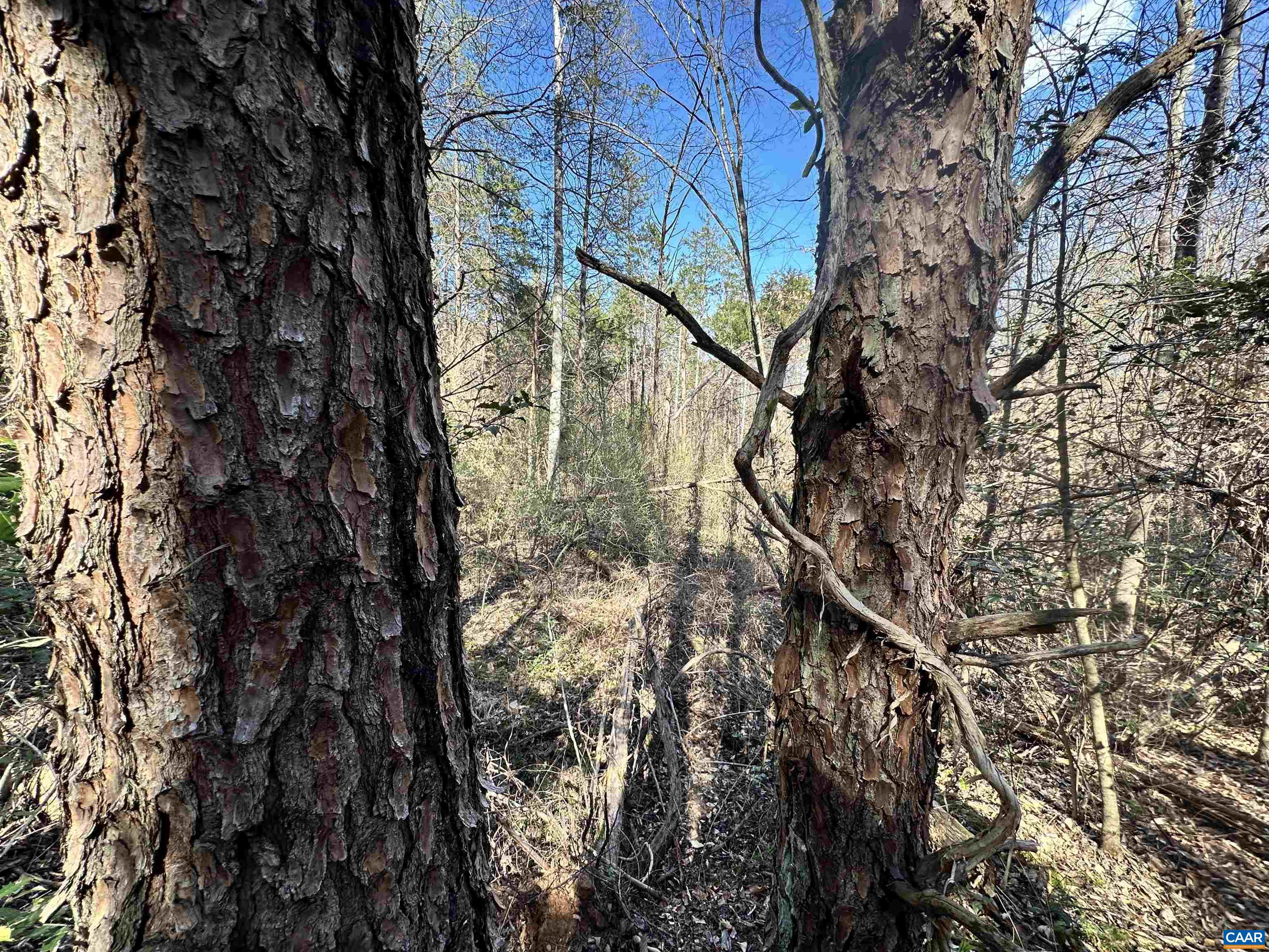 00 INDIAN TRACE TRL, UNIONVILLE, Virginia 22567, ,Land,00 INDIAN TRACE TRL,674743 MLS # 674743