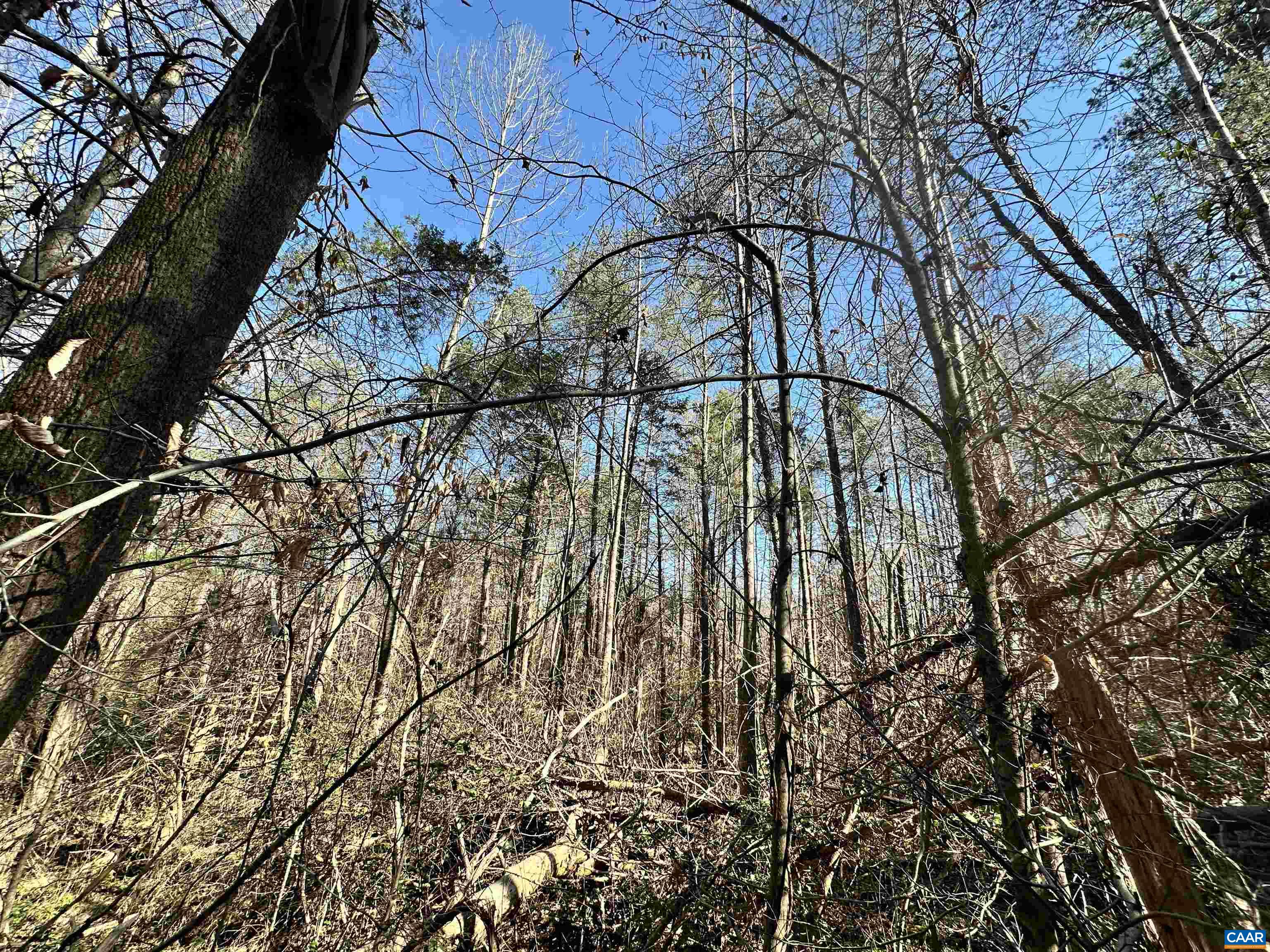 00 INDIAN TRACE TRL, UNIONVILLE, Virginia 22567, ,Land,00 INDIAN TRACE TRL,674743 MLS # 674743