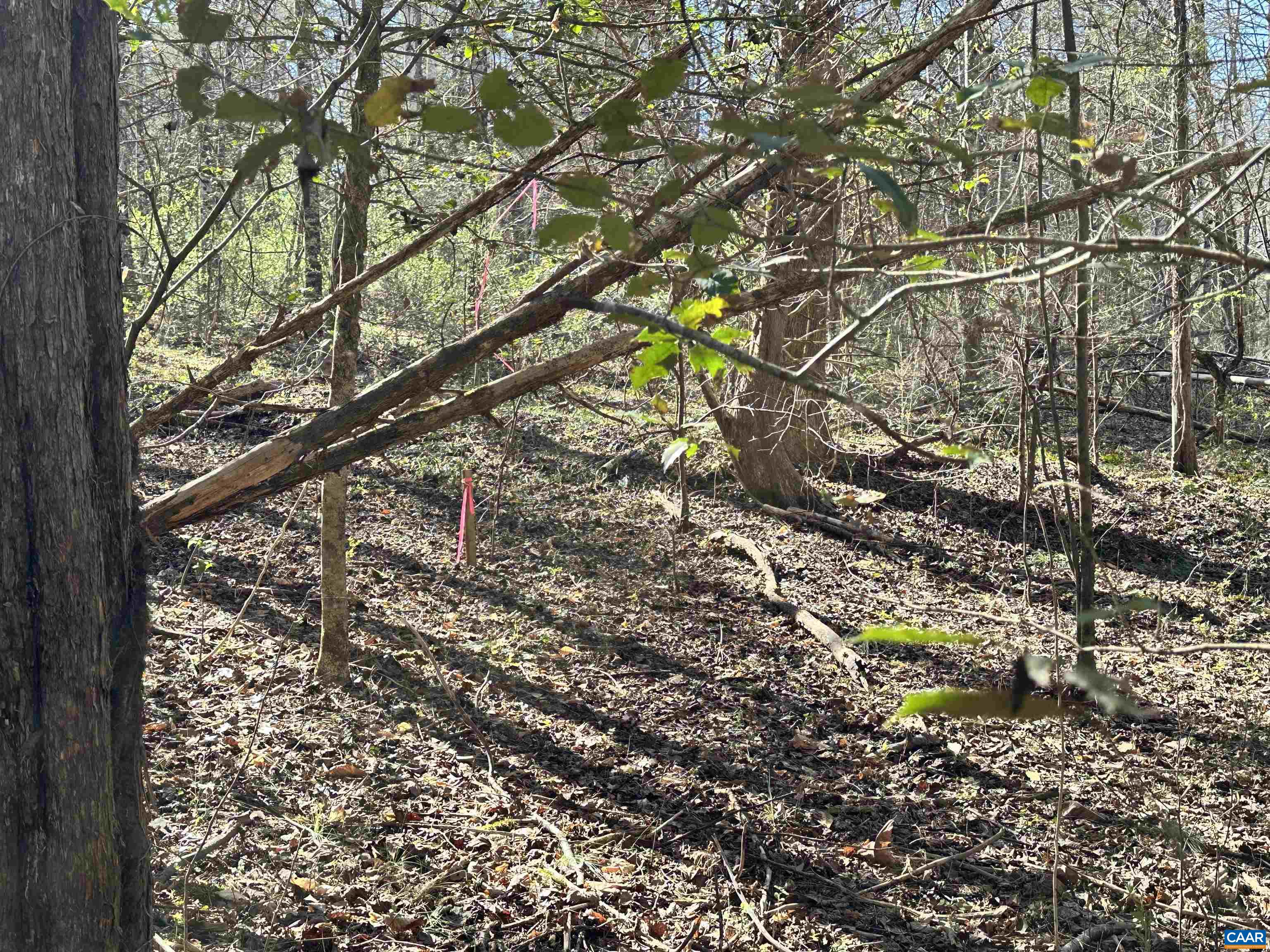 00 INDIAN TRACE TRL, UNIONVILLE, Virginia 22567, ,Land,00 INDIAN TRACE TRL,674743 MLS # 674743