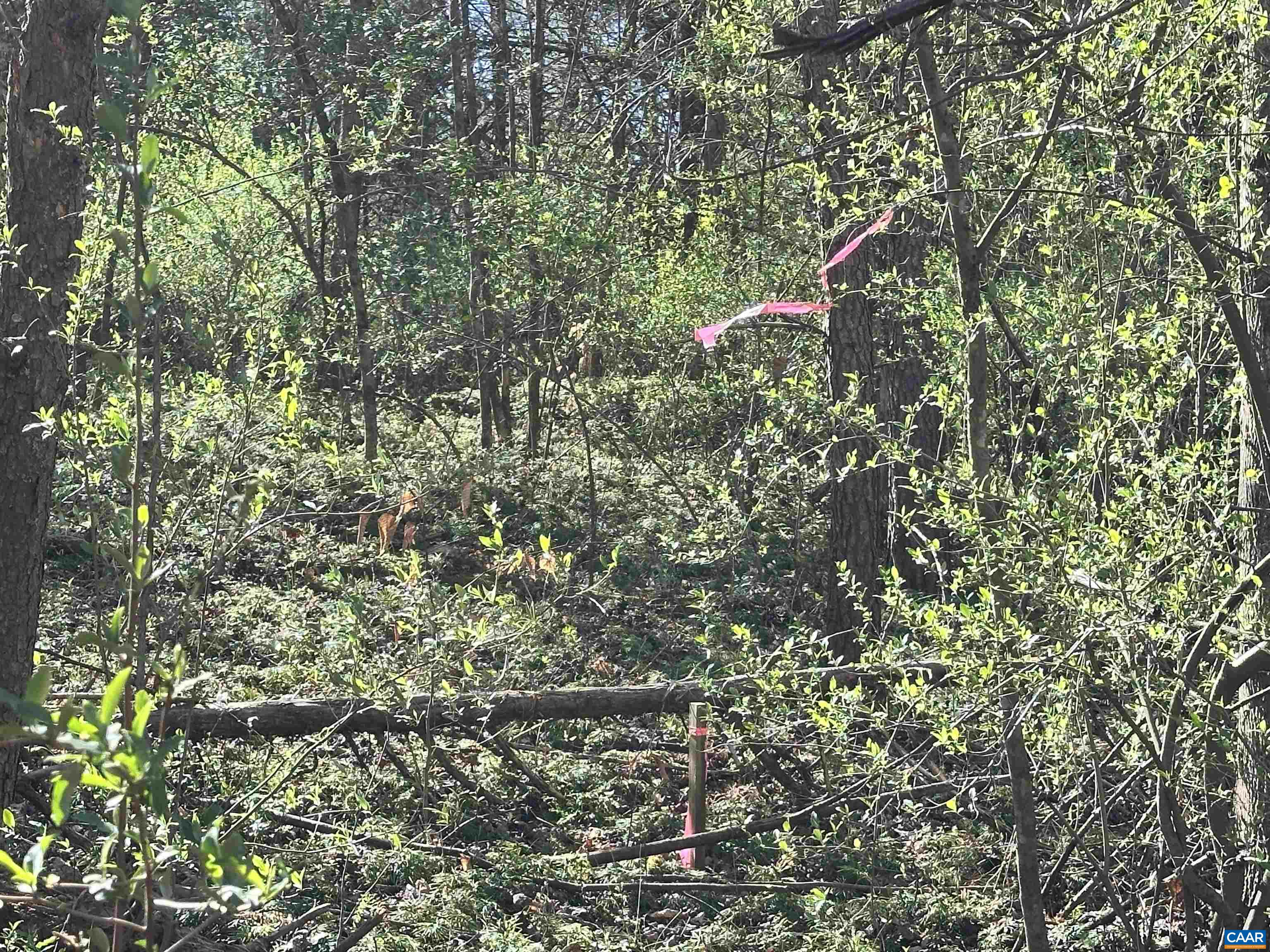 00 INDIAN TRACE TRL, UNIONVILLE, Virginia 22567, ,Land,00 INDIAN TRACE TRL,674743 MLS # 674743