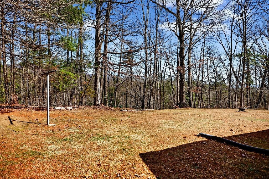 98 OAK ST, CRAIGSVILLE, Virginia 24430, 3 Bedrooms Bedrooms, ,3 BathroomsBathrooms,Residential,98 OAK ST,674713 MLS # 674713