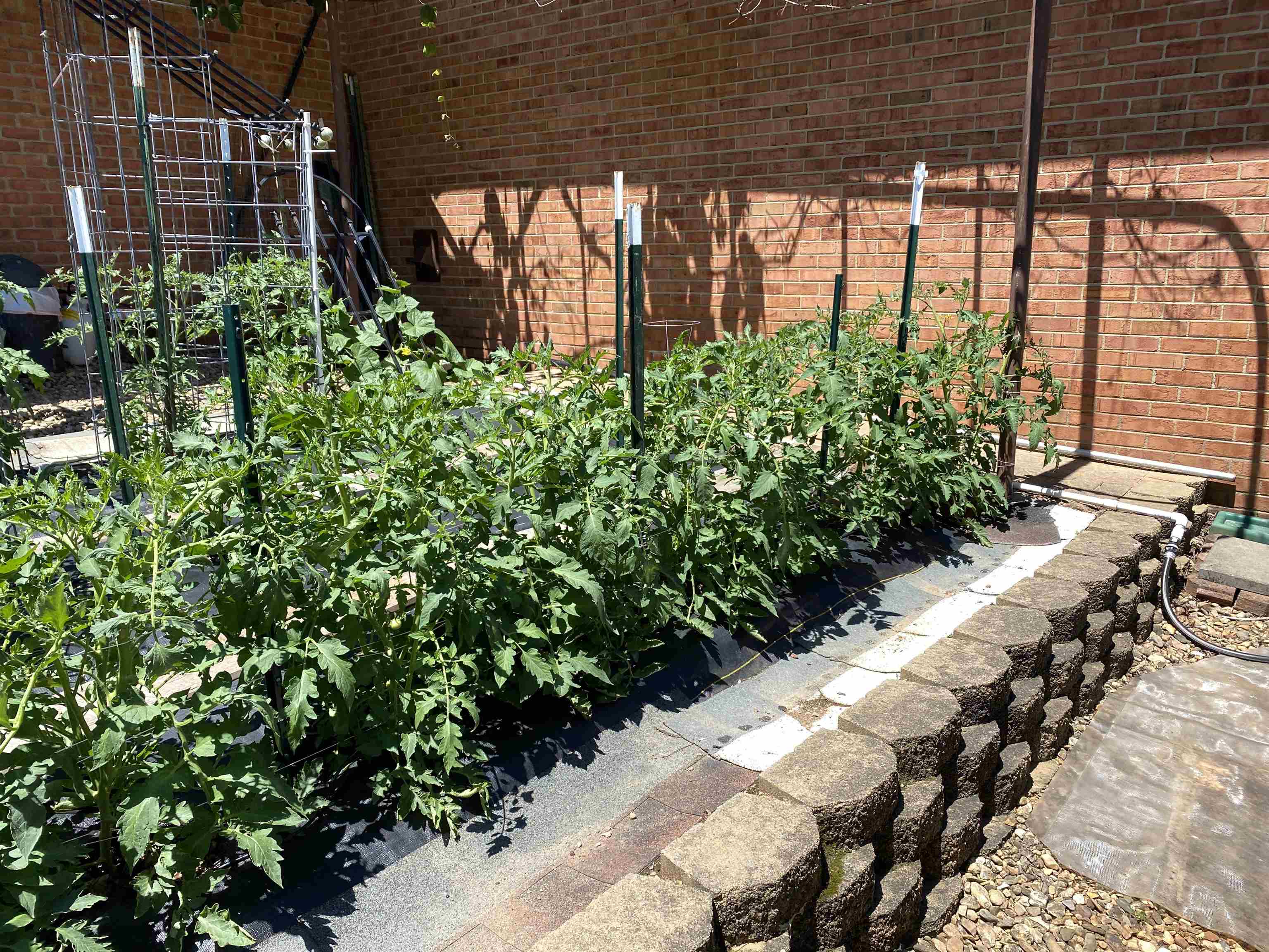 48 CONFEDERATE ST, VERONA, Virginia 24482, 3 Bedrooms Bedrooms, ,2 BathroomsBathrooms,Residential,48 CONFEDERATE ST,674723 MLS # 674723