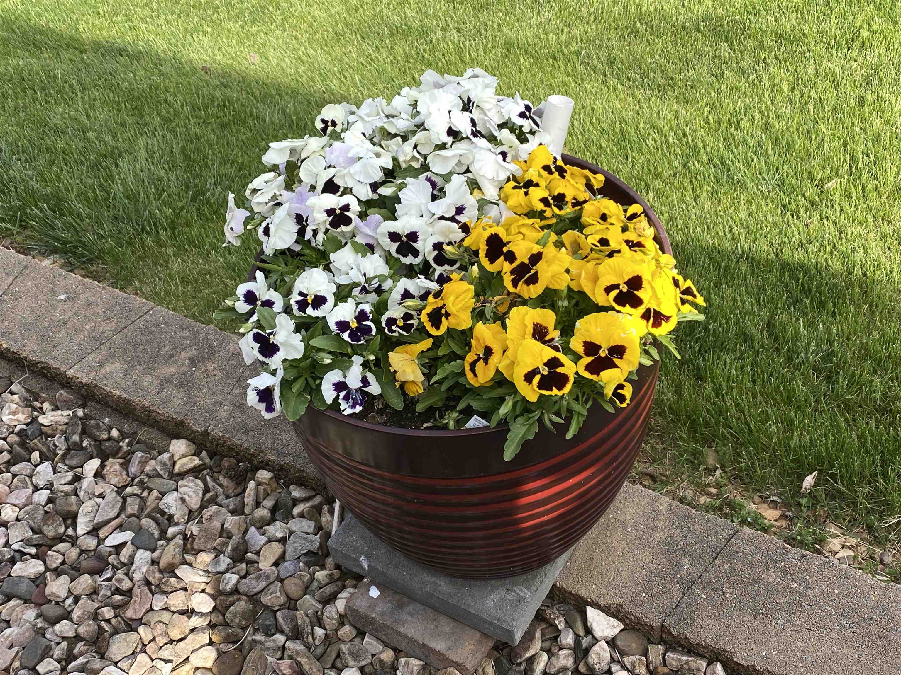 48 CONFEDERATE ST, VERONA, Virginia 24482, 3 Bedrooms Bedrooms, ,2 BathroomsBathrooms,Residential,48 CONFEDERATE ST,674723 MLS # 674723