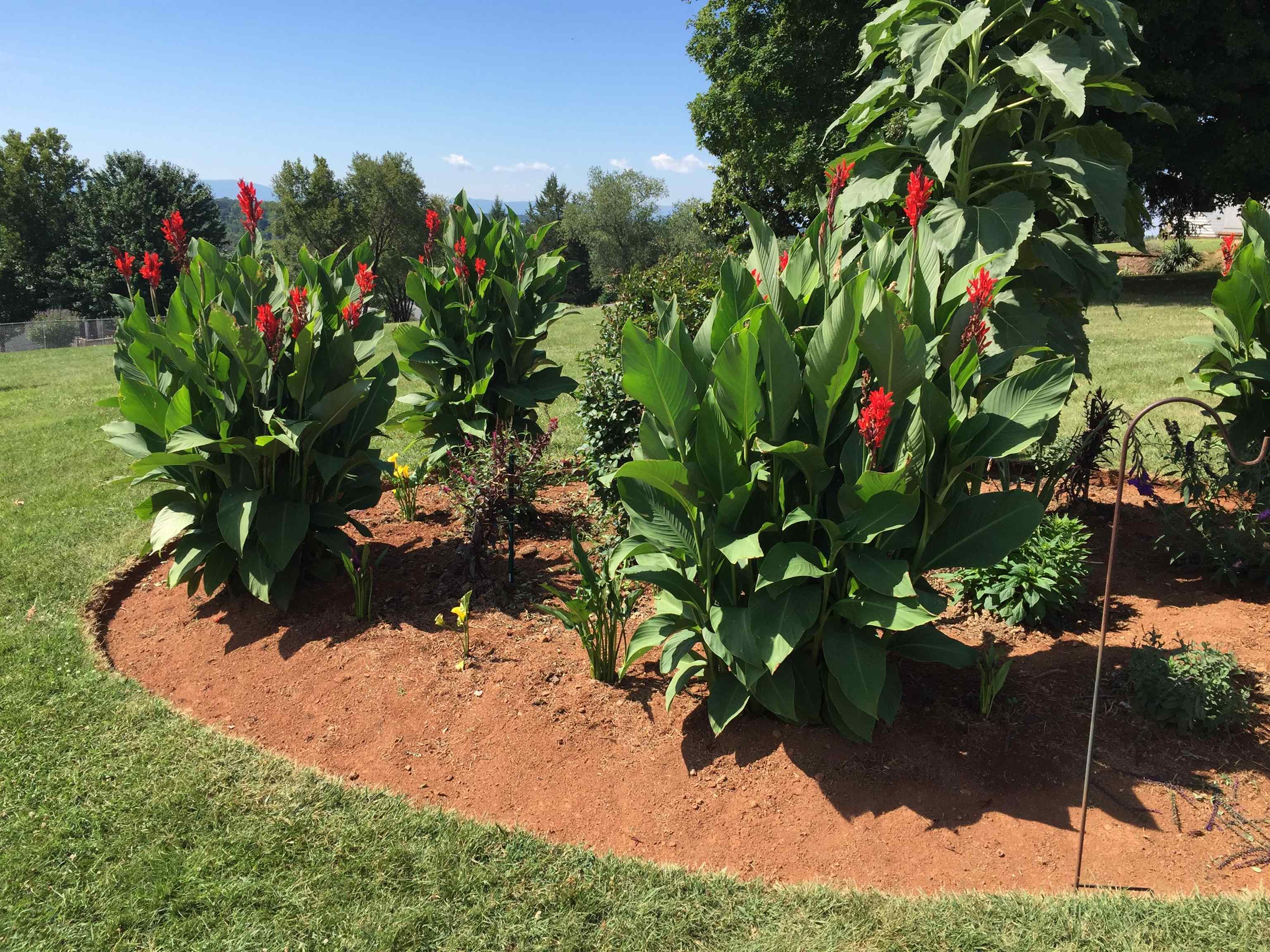 48 CONFEDERATE ST, VERONA, Virginia 24482, 3 Bedrooms Bedrooms, ,2 BathroomsBathrooms,Residential,48 CONFEDERATE ST,674723 MLS # 674723