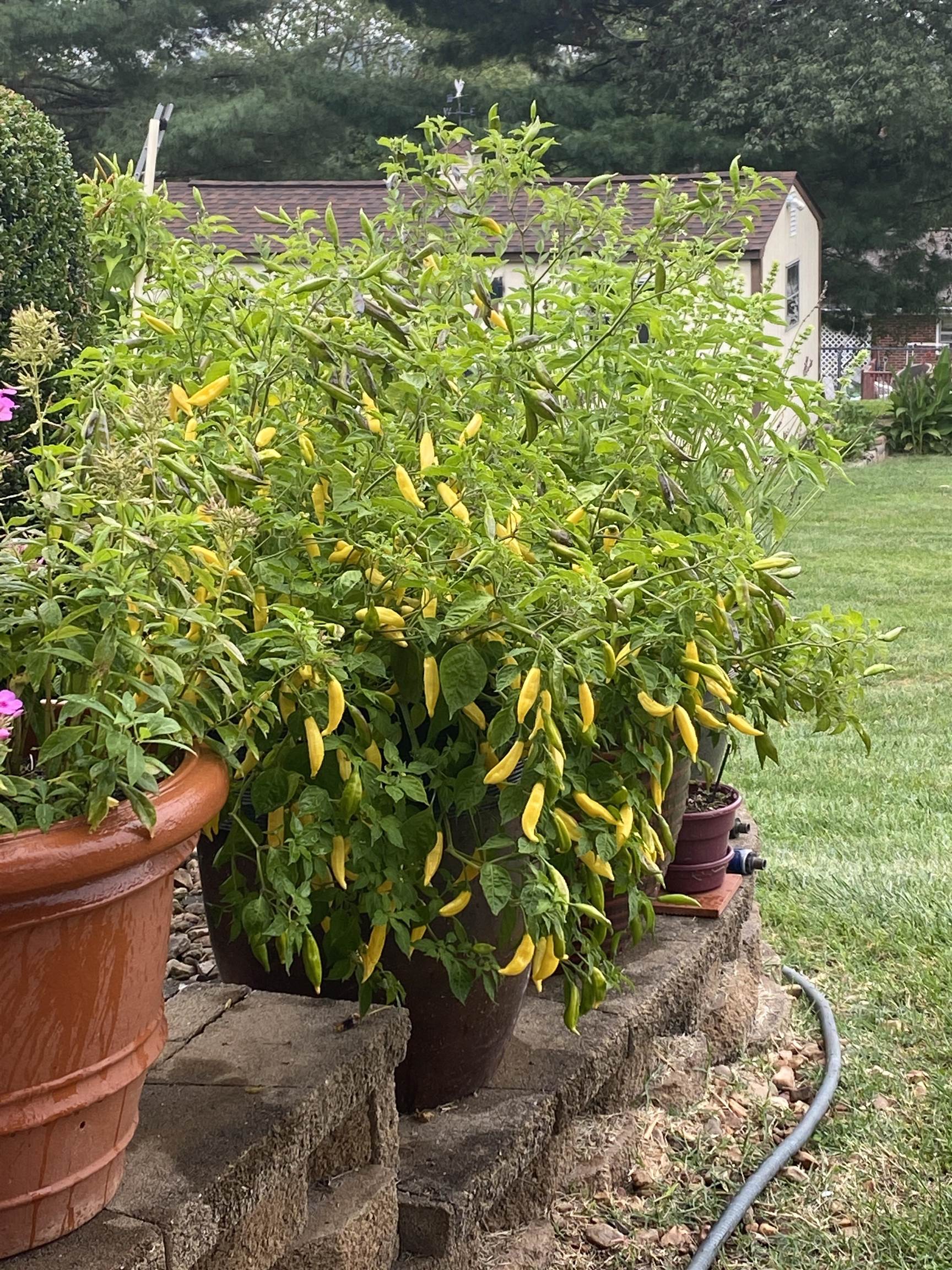 48 CONFEDERATE ST, VERONA, Virginia 24482, 3 Bedrooms Bedrooms, ,2 BathroomsBathrooms,Residential,48 CONFEDERATE ST,674723 MLS # 674723