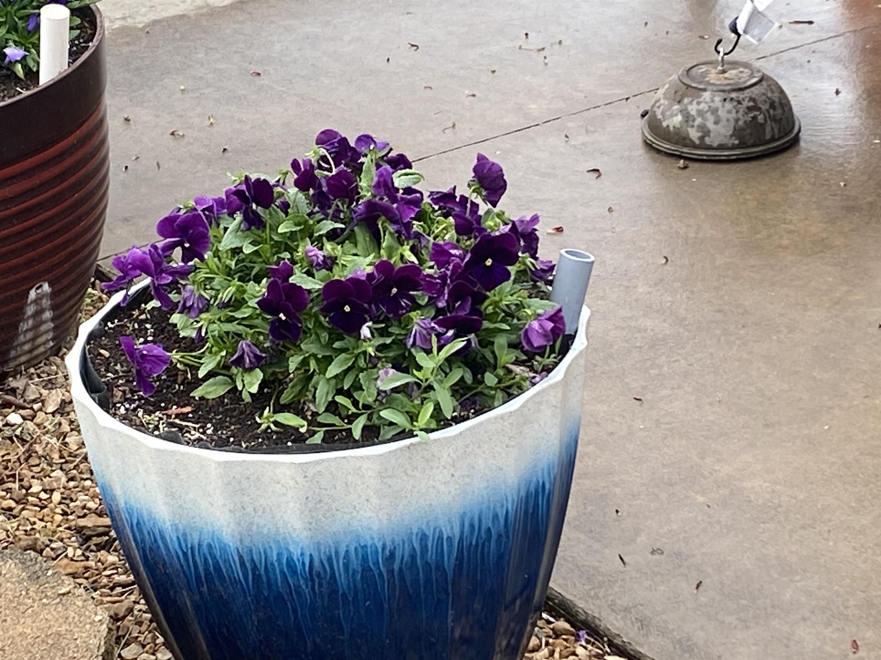 48 CONFEDERATE ST, VERONA, Virginia 24482, 3 Bedrooms Bedrooms, ,2 BathroomsBathrooms,Residential,48 CONFEDERATE ST,674723 MLS # 674723