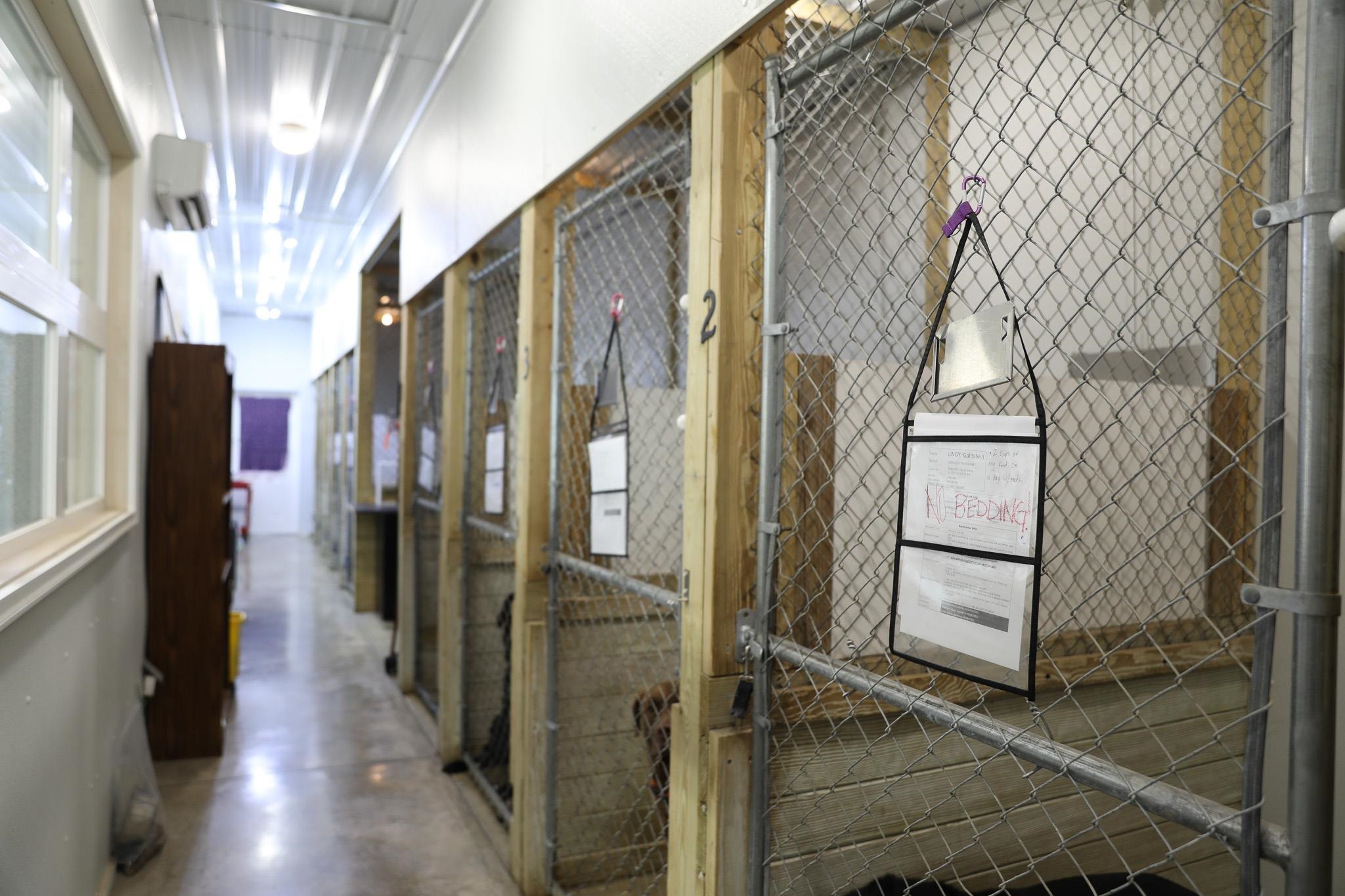 232 MINE BRANCH RD, CRIMORA, Virginia 24431, 4 Bedrooms Bedrooms, ,2 BathroomsBathrooms,Residential,232 MINE BRANCH RD,674739 MLS # 674739