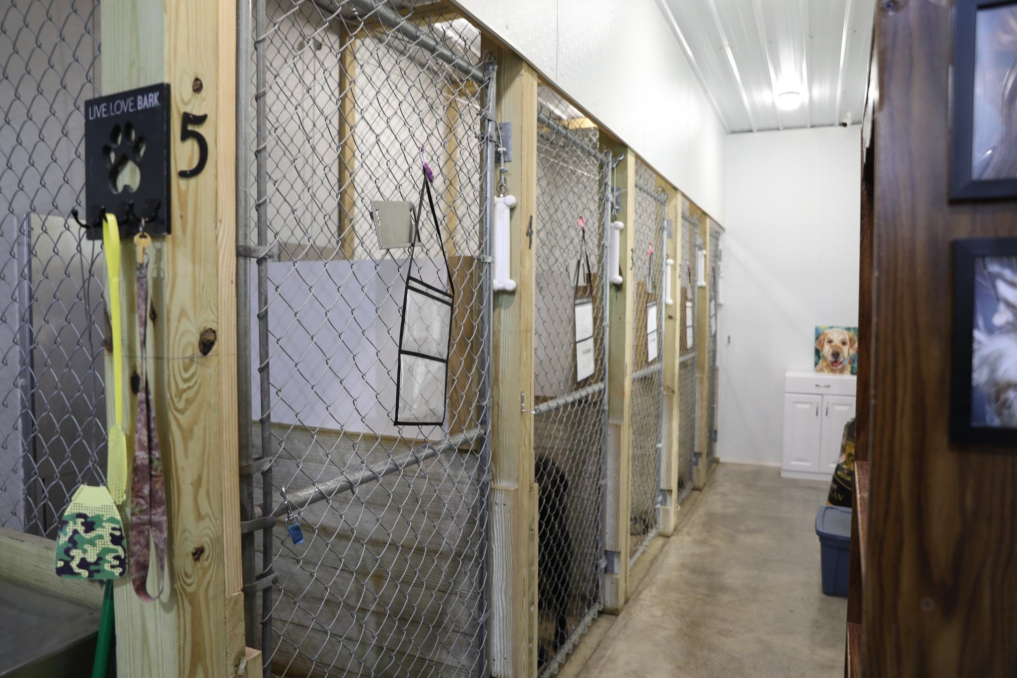 232 MINE BRANCH RD, CRIMORA, Virginia 24431, 4 Bedrooms Bedrooms, ,2 BathroomsBathrooms,Residential,232 MINE BRANCH RD,674739 MLS # 674739