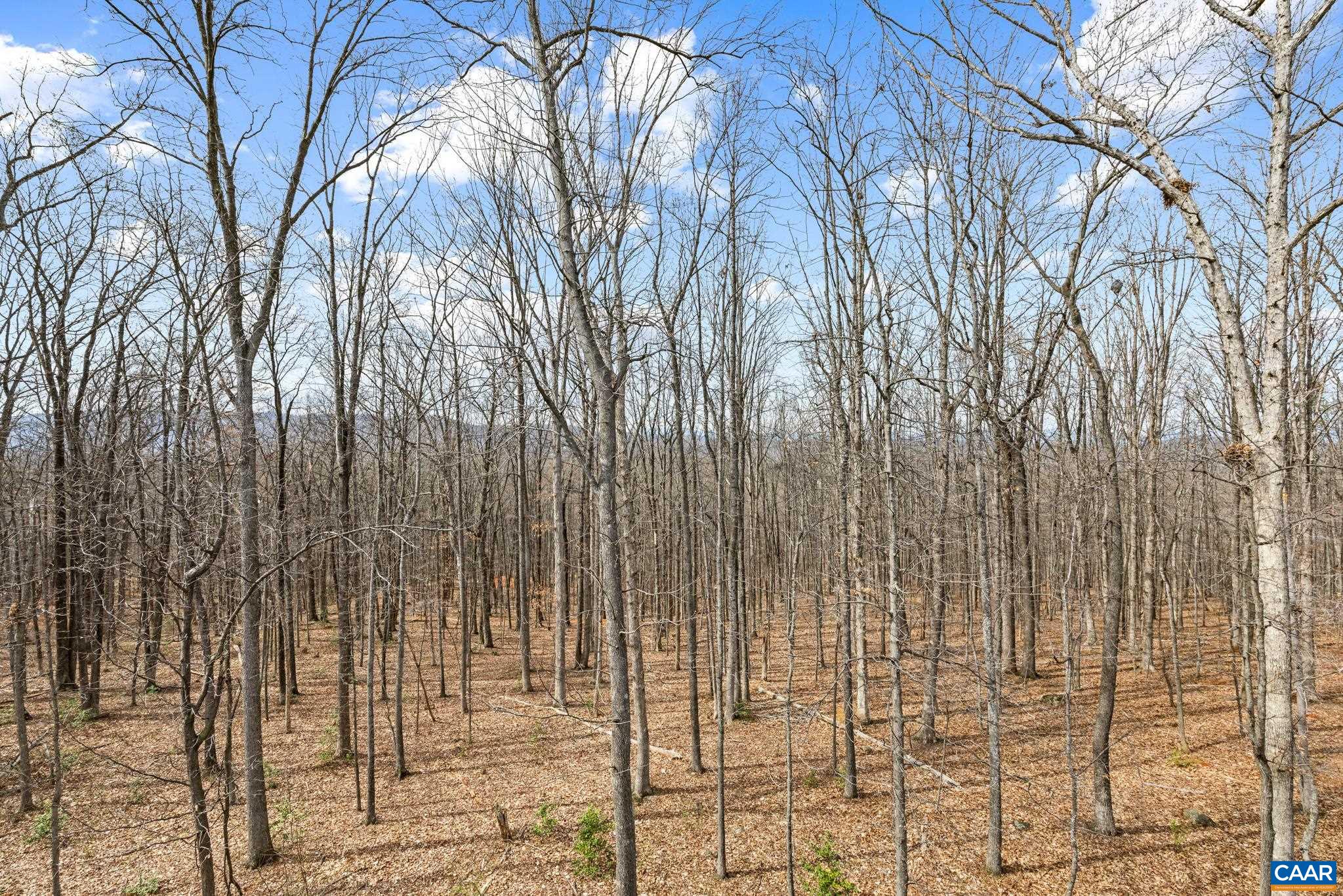 3006 ANOKO CT, CHARLOTTESVILLE, Virginia 22902, 4 Bedrooms Bedrooms, ,3 BathroomsBathrooms,Residential,3006 ANOKO CT,674745 MLS # 674745